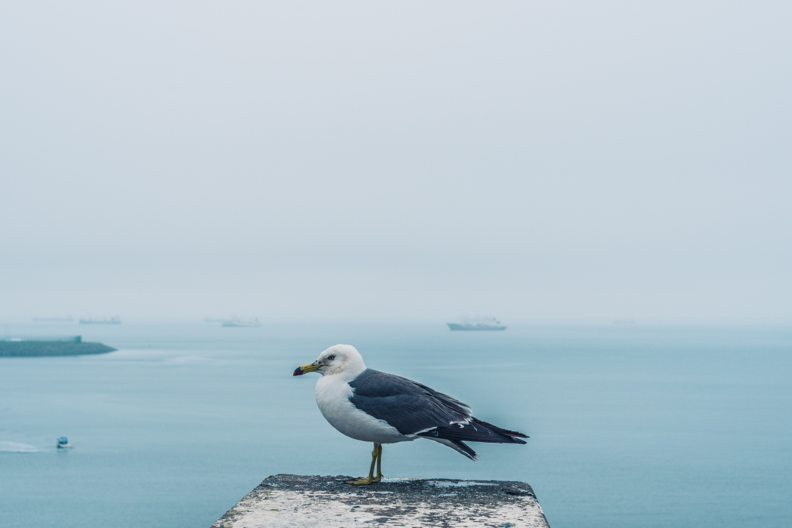 Путешествие рекламного фотографа из Гуанчжоу. Коммерческий и предметный фотограф в Гуанчжоу Коваленко Александр