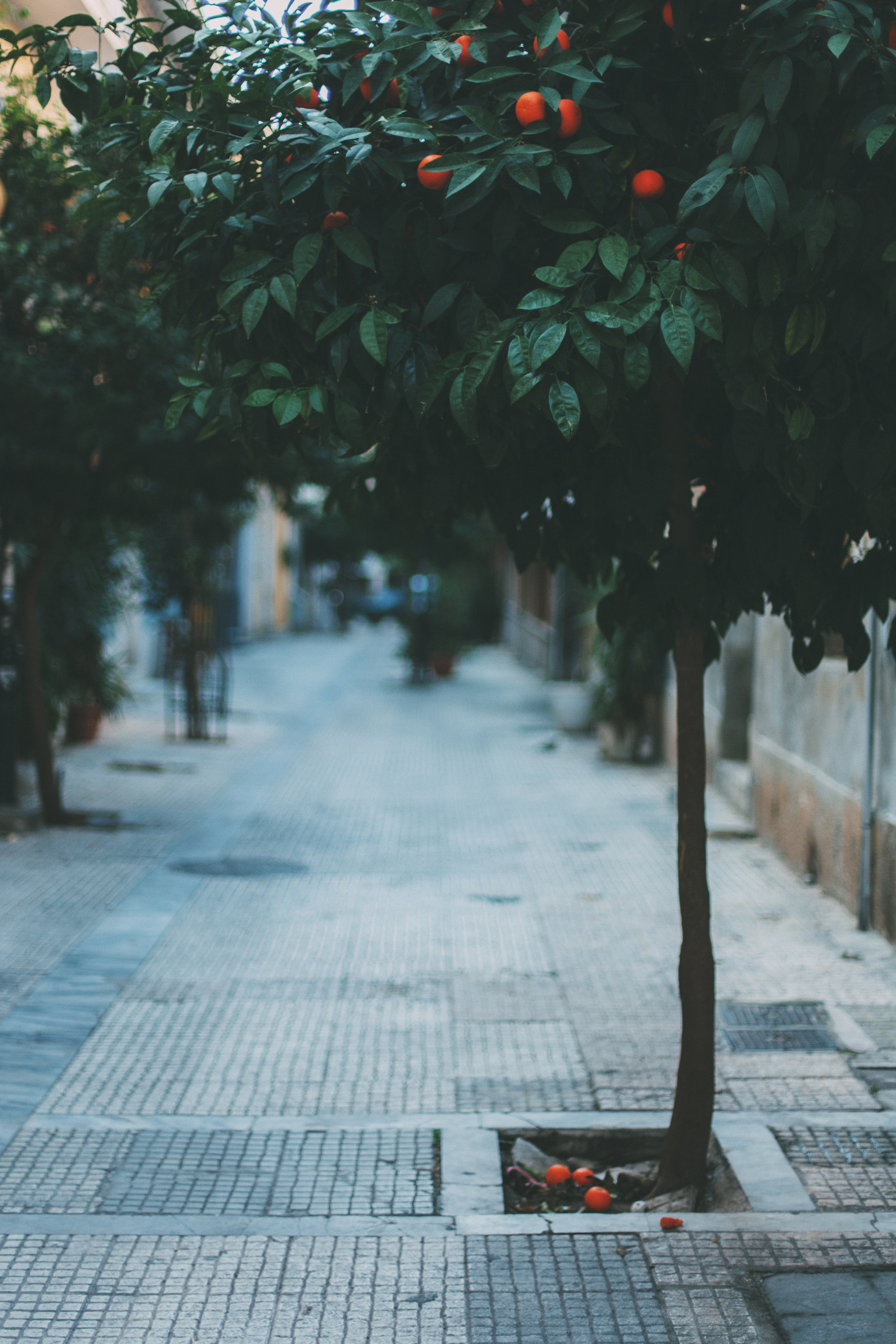 Афины. Аня Степанова