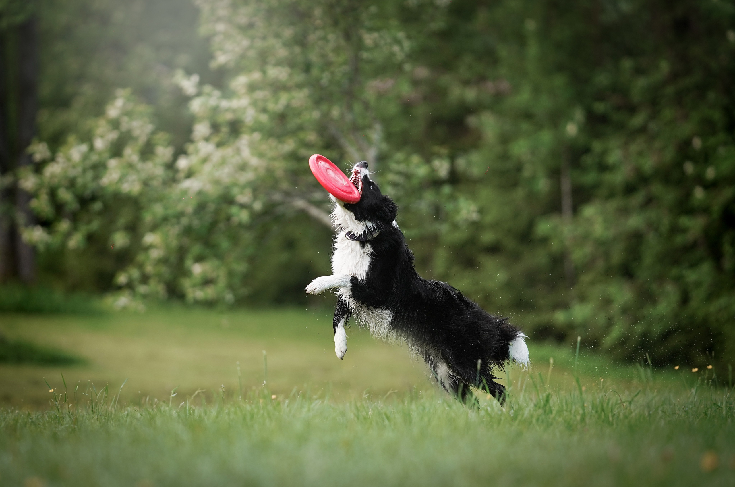 Юля, ее мама и Груша. Фотограф-анималист в Санкт-Петербурге Яна Мартынова