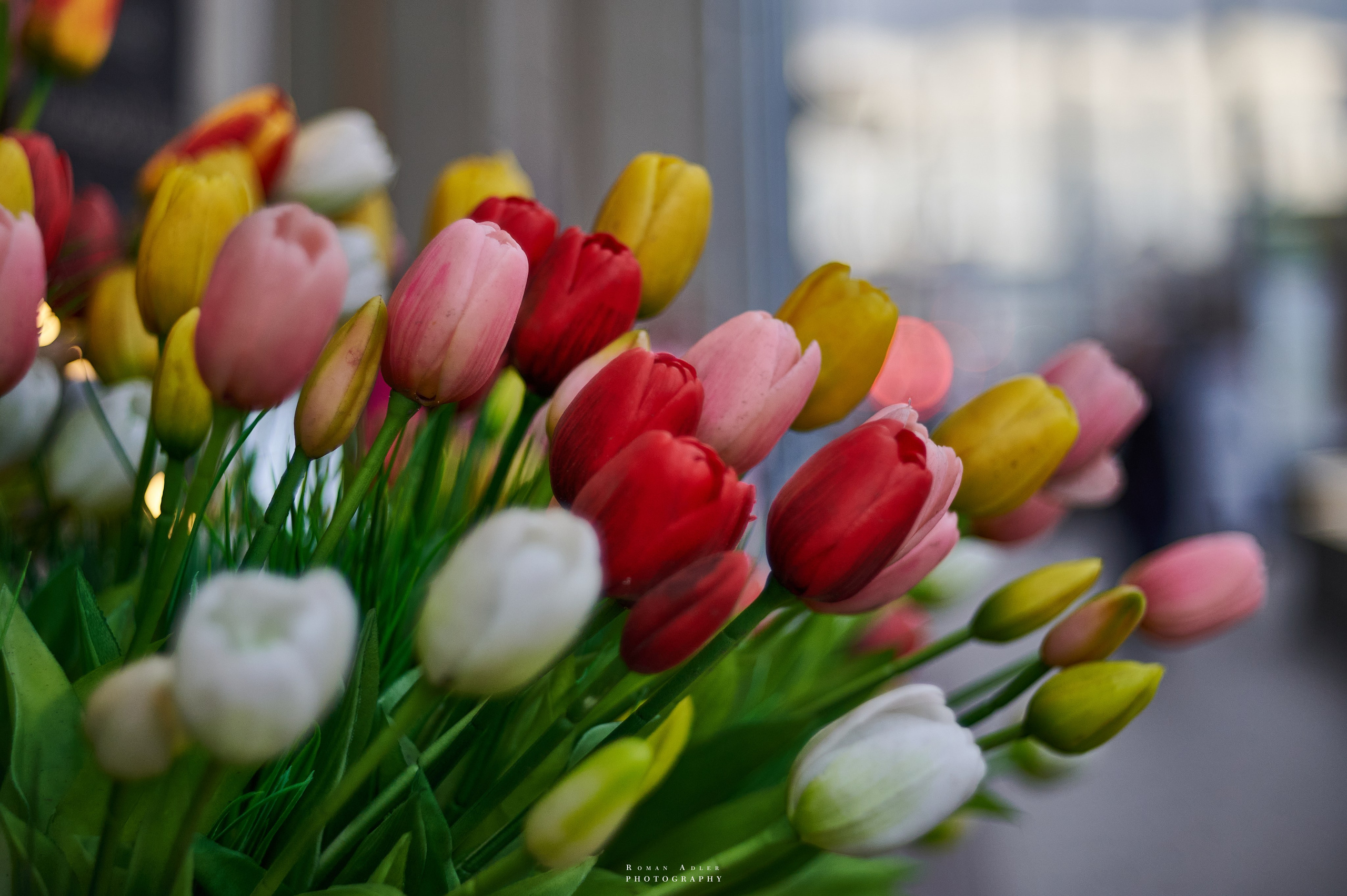 Москва. Апрель 2026. Фотограф Роман Адлер