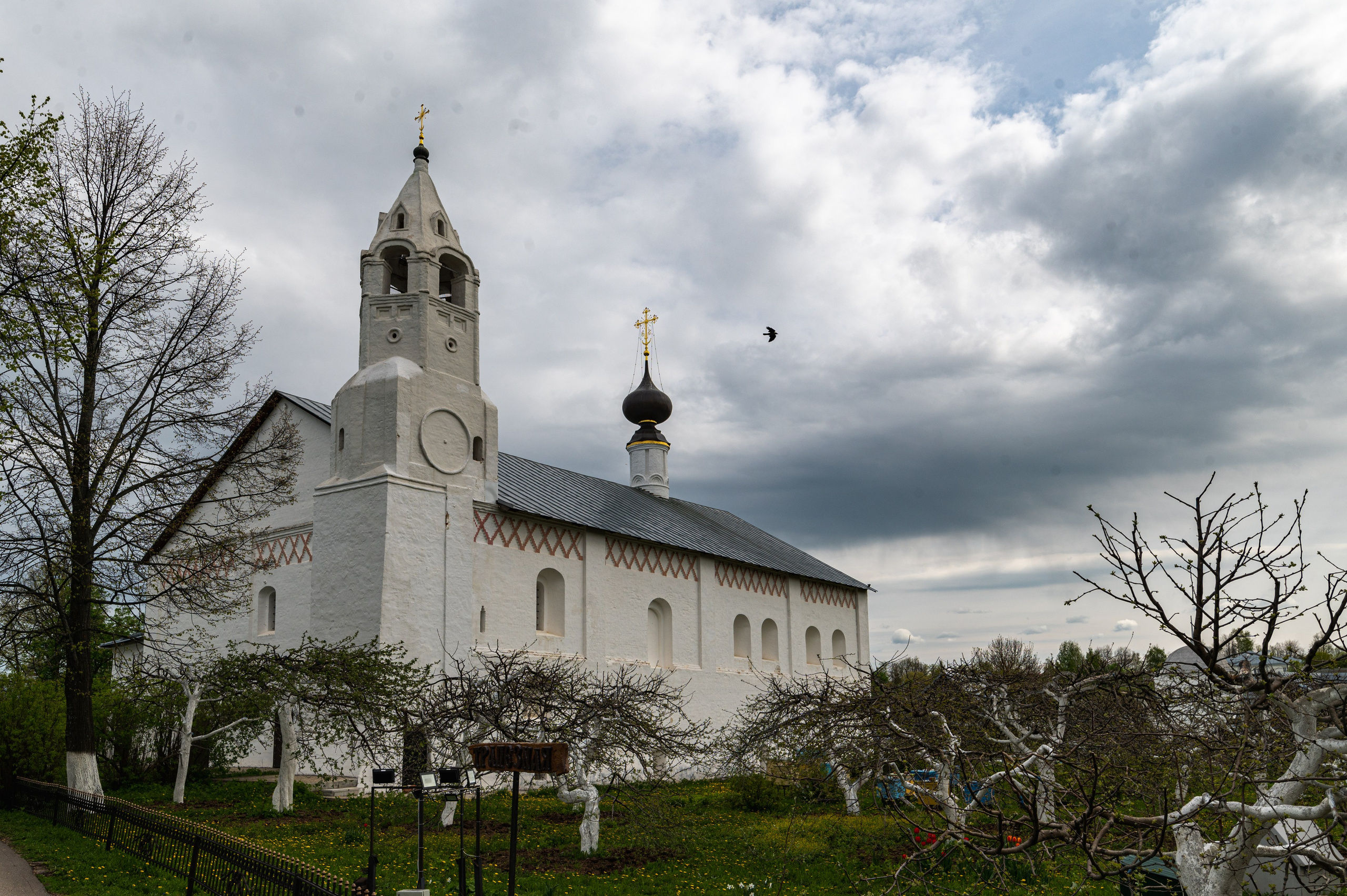 Суздаль. Май 2023. Фотограф Роман Адлер
