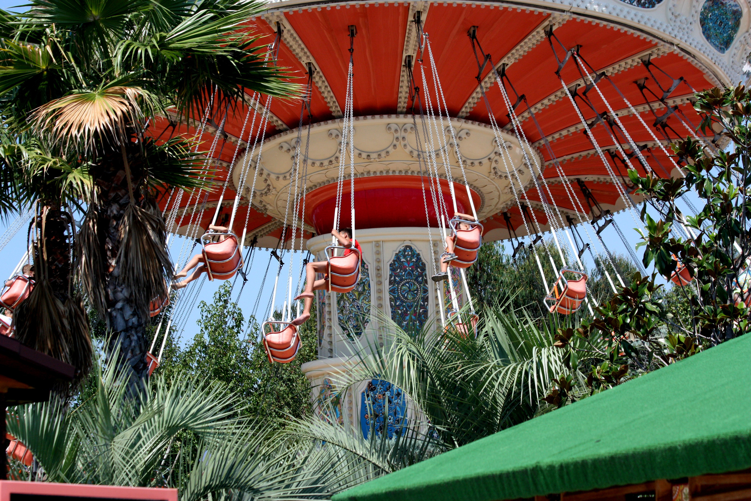 Первые кадры. Сочи — парк. Фотограф Роман Адлер