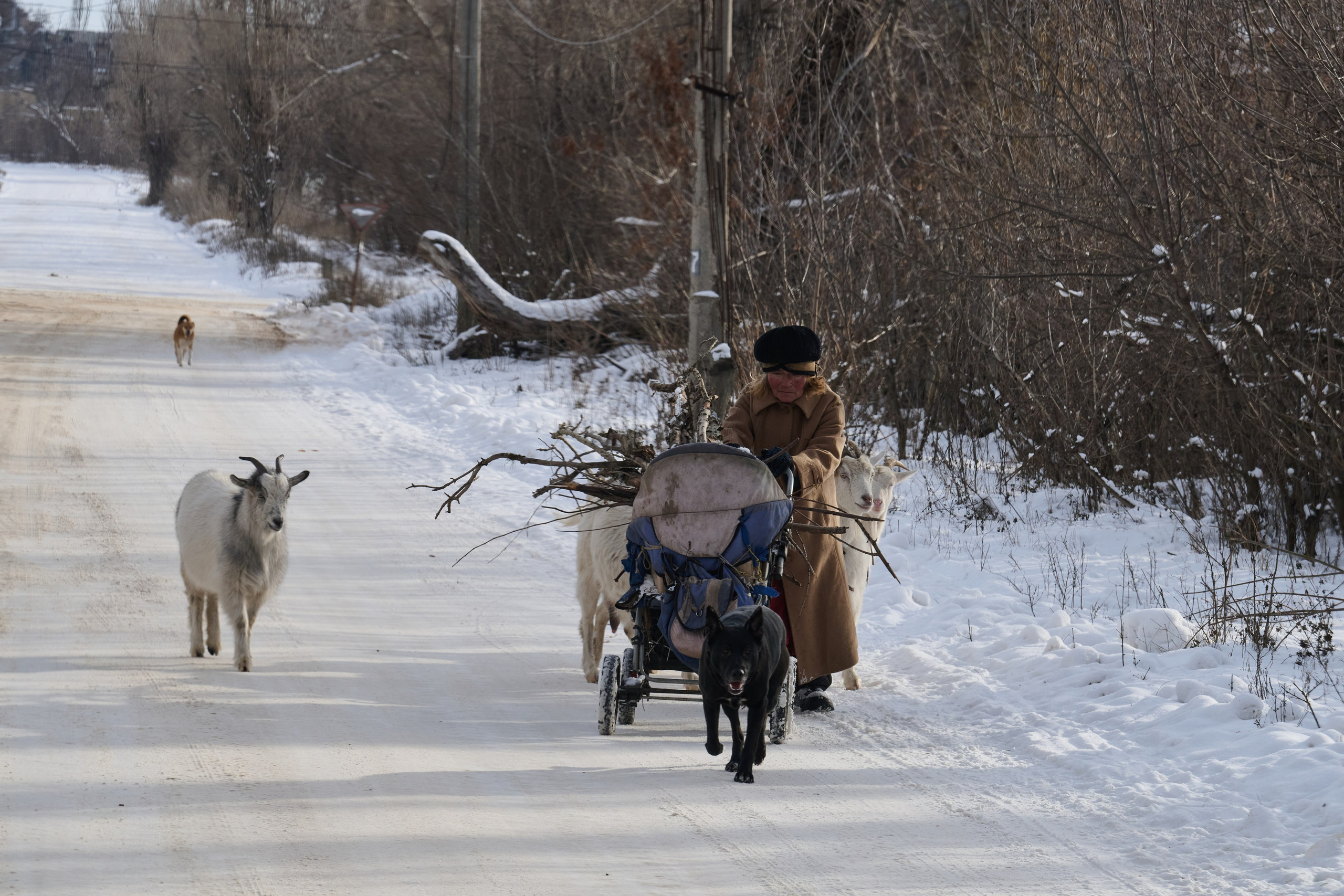 Рубежное. Январь 2026. Фотограф Роман Адлер