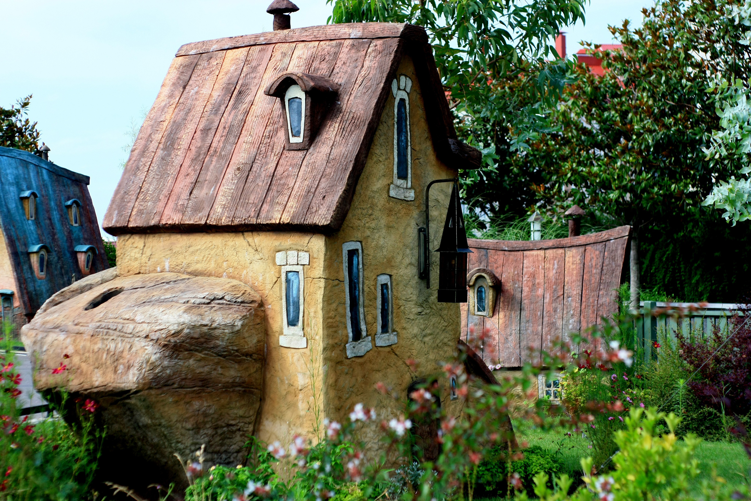 Первые кадры. Сочи — парк. Фотограф Роман Адлер