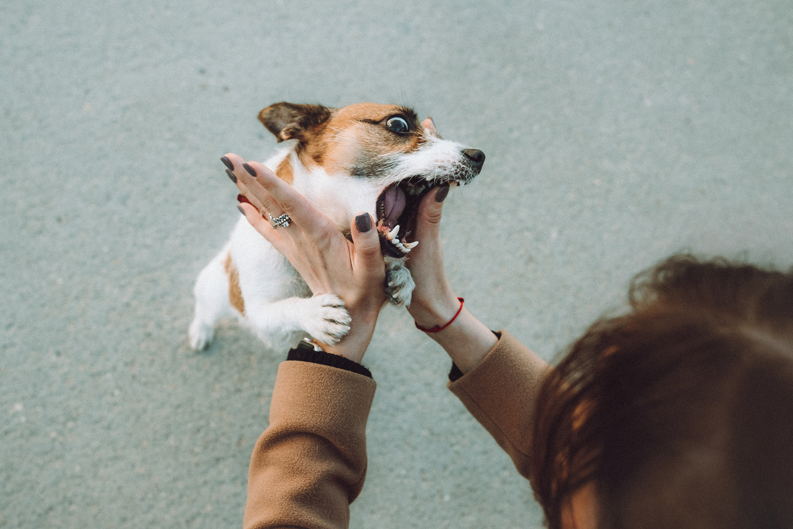 Лера и Рада