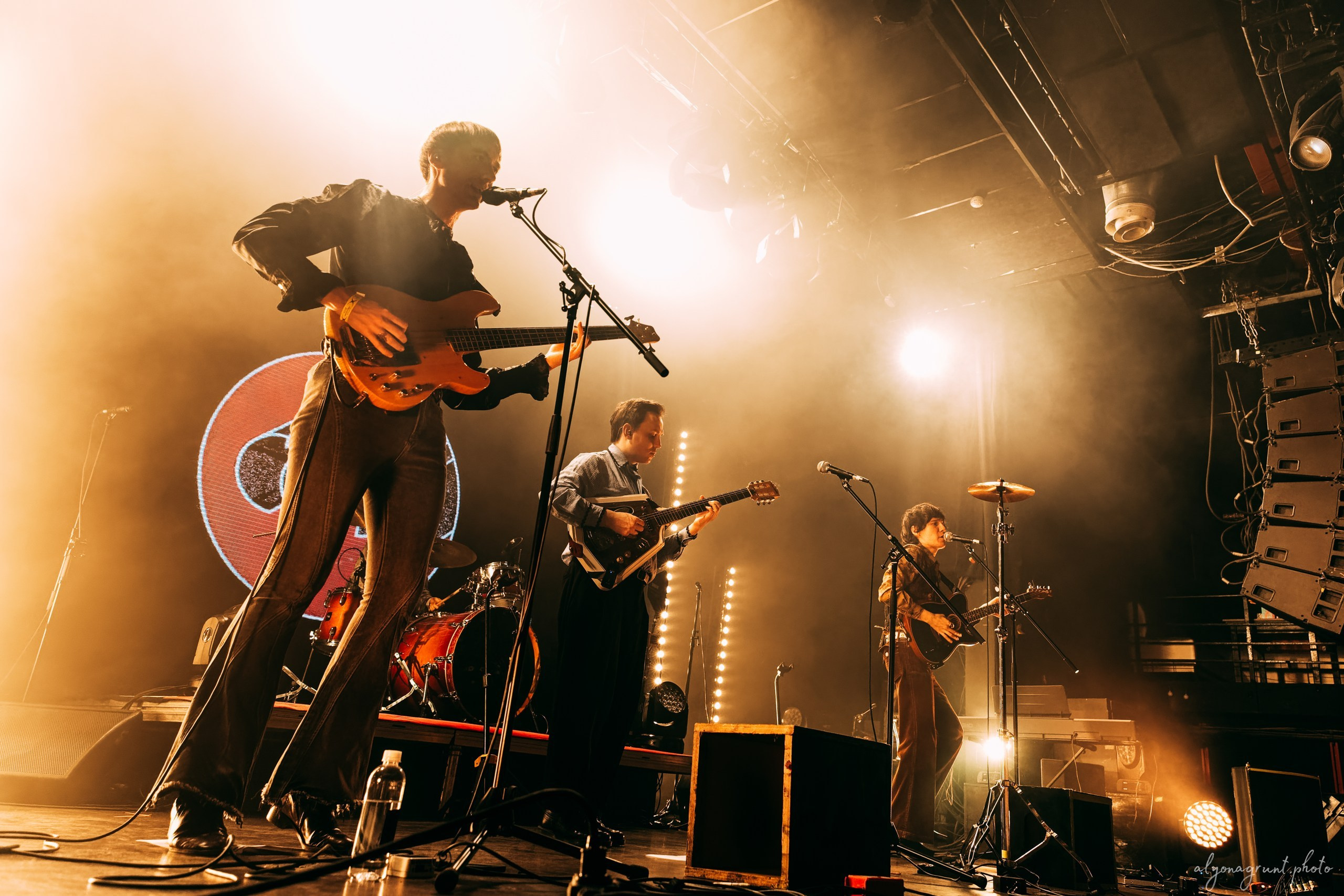 Сова, фоторепортаж, СПб, Космонавт, 18.12.2025. Алена Адрианова: фотограф в Санкт-Петербурге