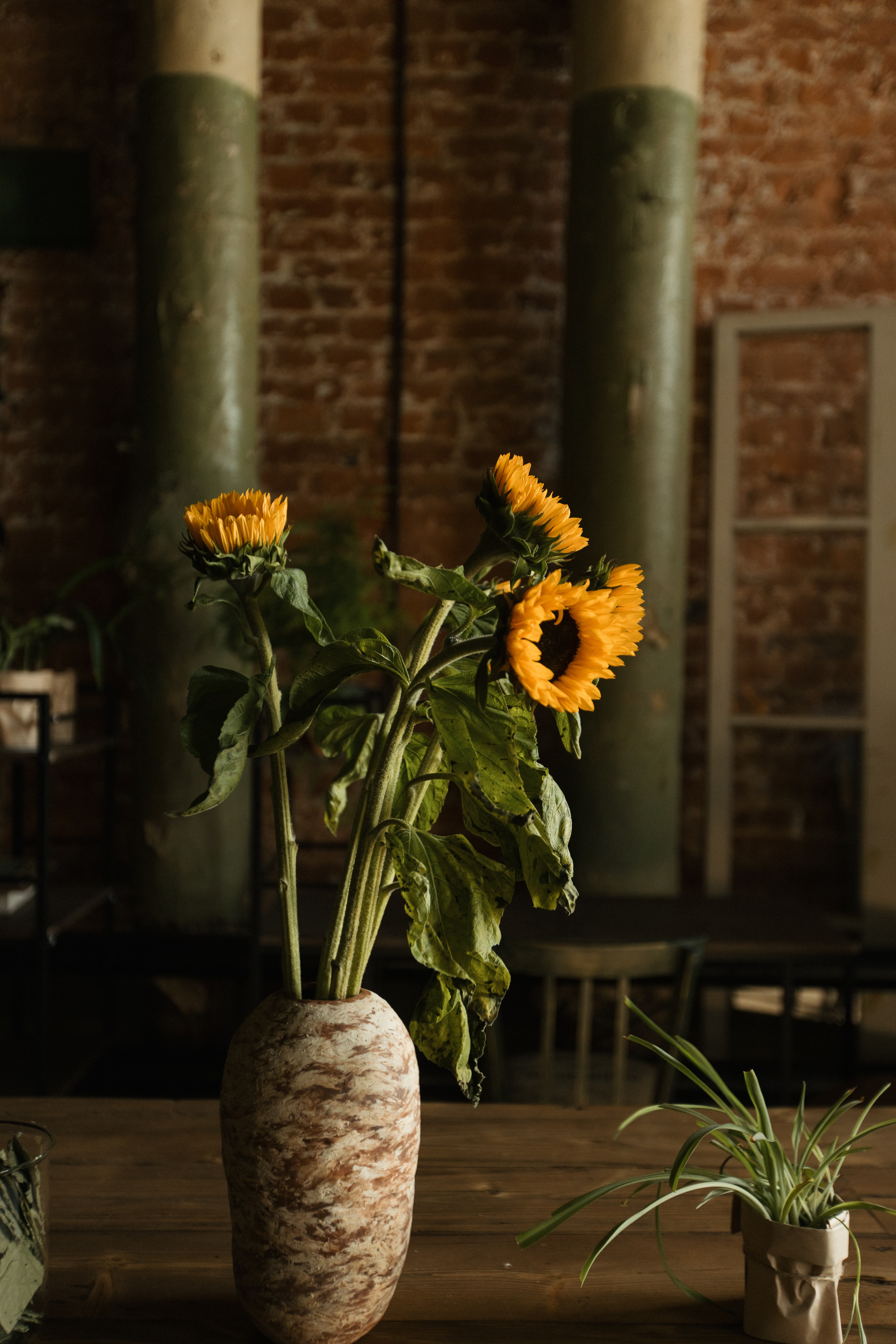 TebenikPro. Свадебный фотограф Таня Караисаева