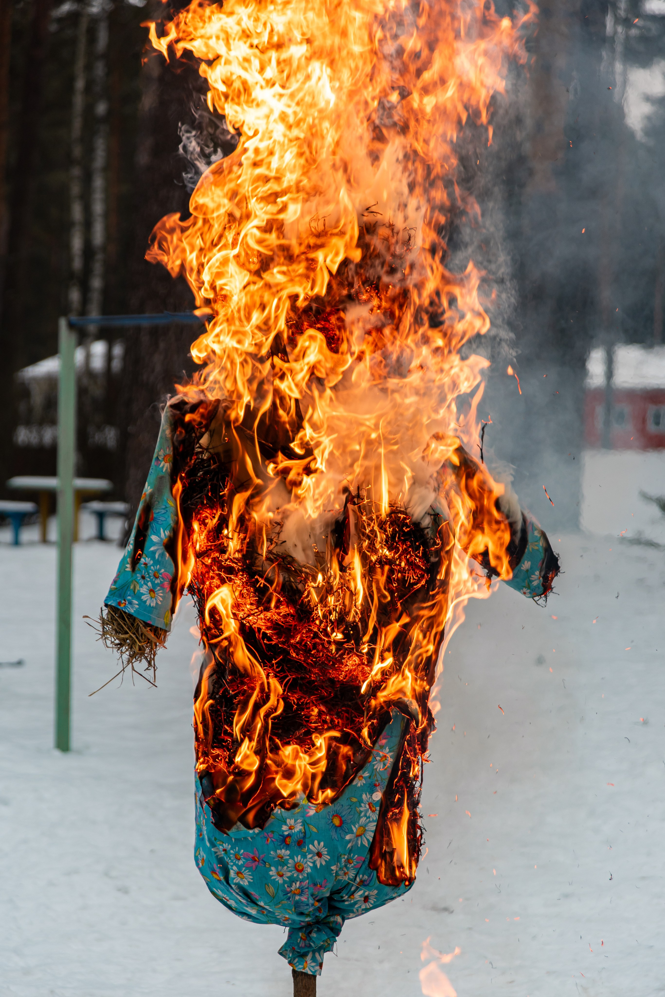 Фотосъёмка с собаками в Кинологическом лагере. Фотограф Макс Огурцов в Нижнем Новгороде
