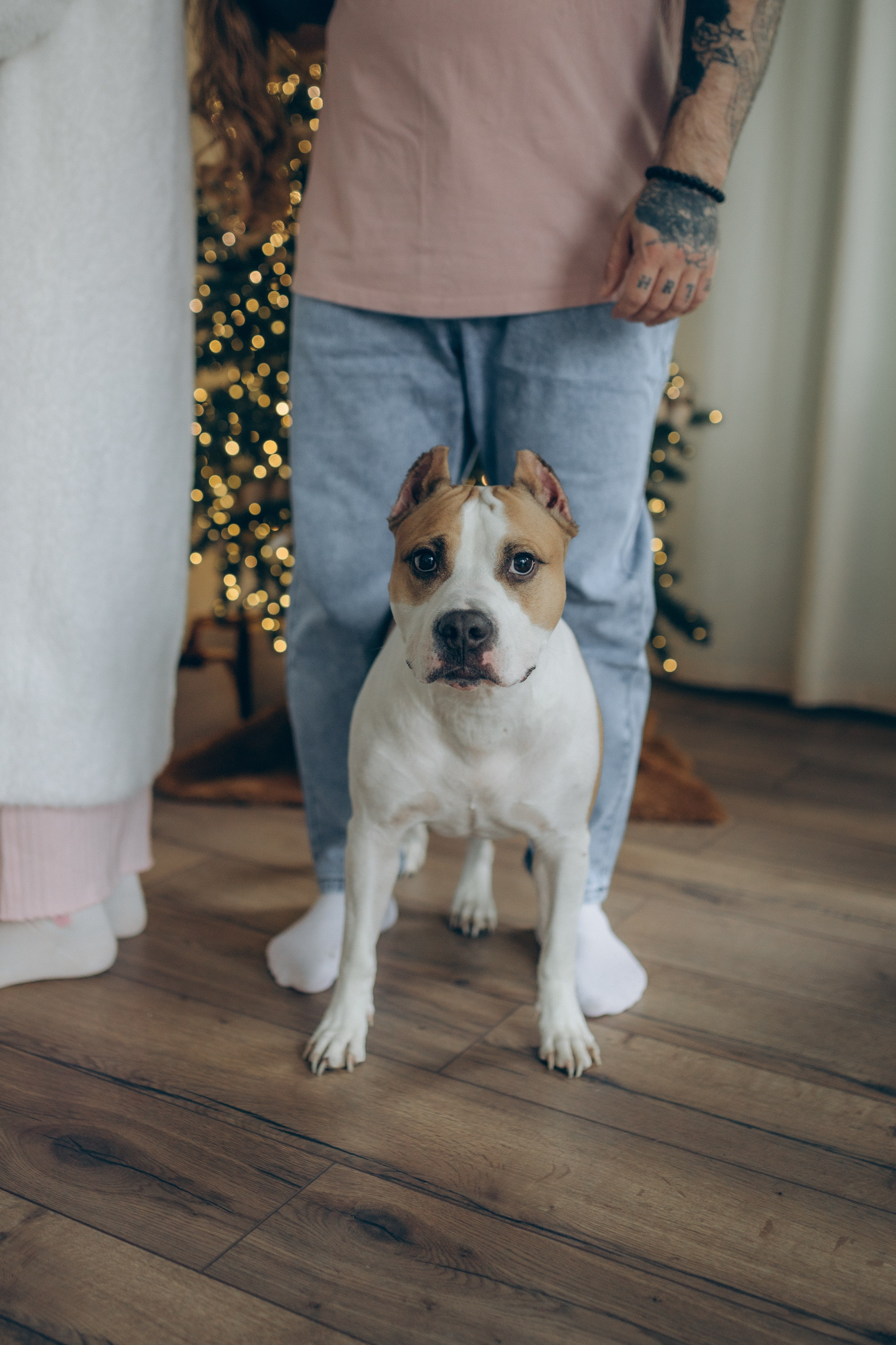 New Year's family story. Семейный фотограф и фотограф на роды в Ростове-на-Дону Мухина Виктория
