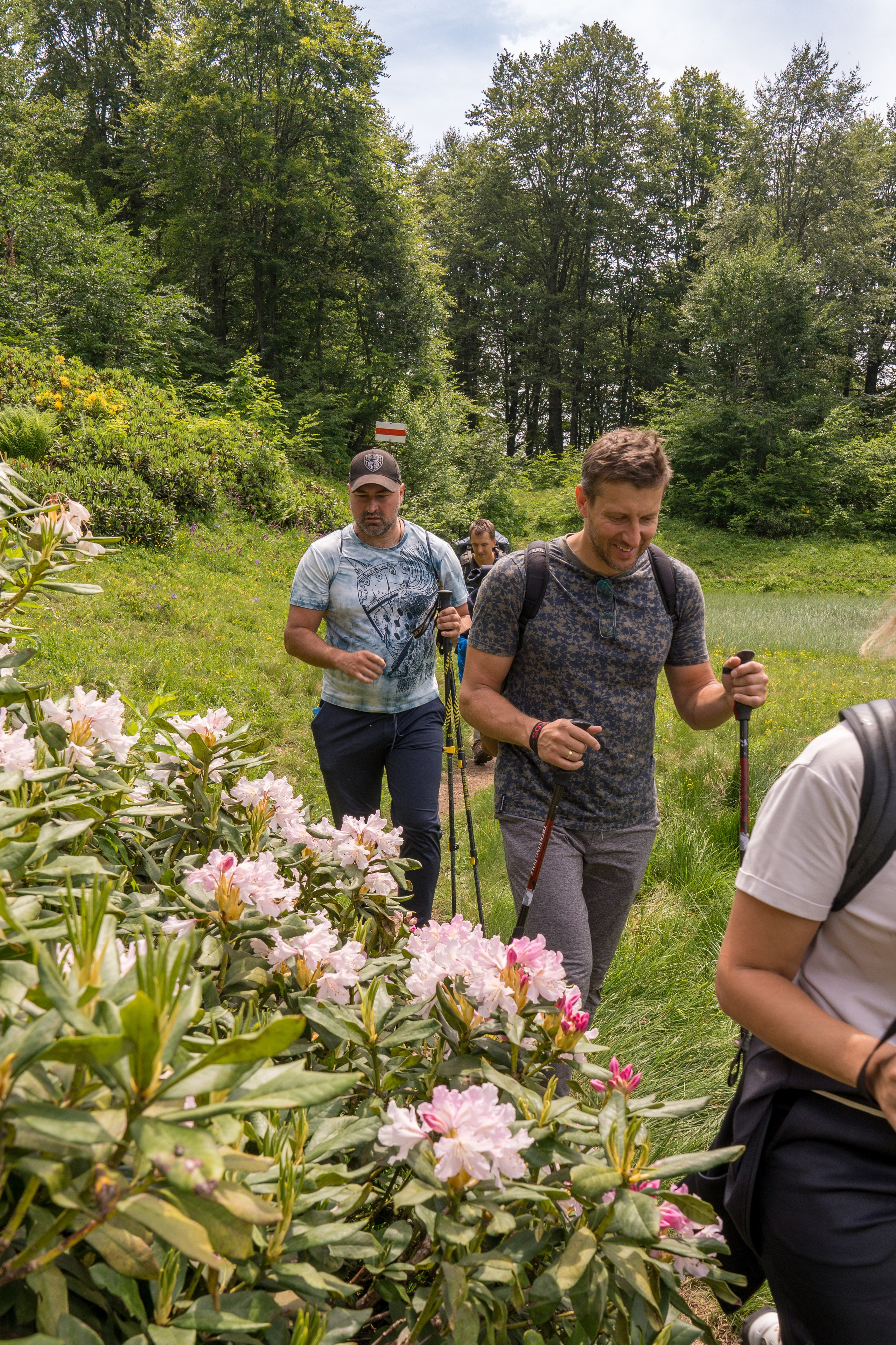 MICE мероприятие для компании «Доставка морем»: хайкинг к Ачипсинским водопадам. Репортажный фотограф в Красной Поляне и Сочи Павлюченко Екатерина