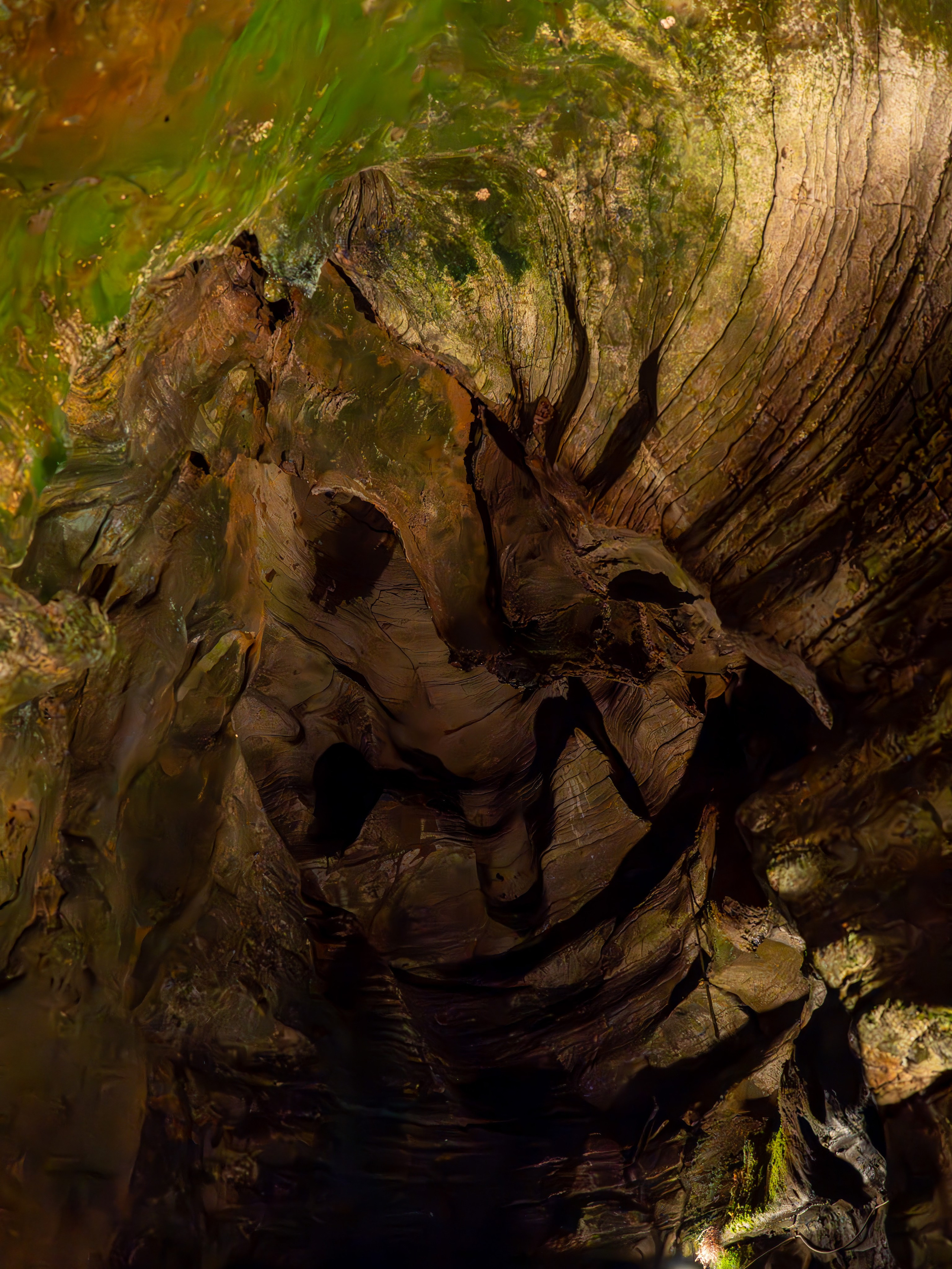 MICE мероприятие — джиппинг на каньон Псахо. Репортажный фотограф в Красной Поляне и Сочи Павлюченко Екатерина