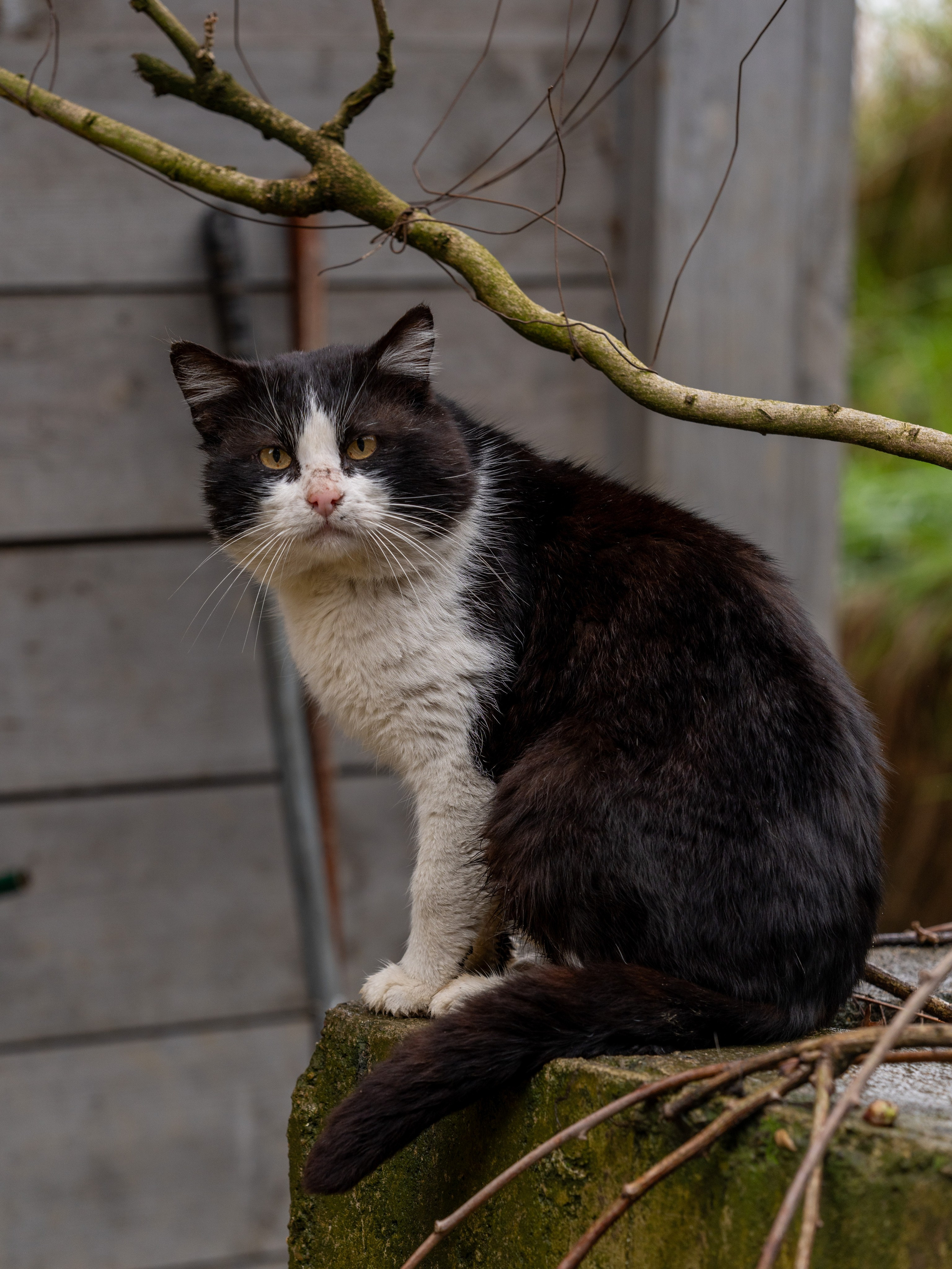 MICE мероприятие на ферме Экзархо. Репортажный фотограф в Красной Поляне и Сочи Павлюченко Екатерина