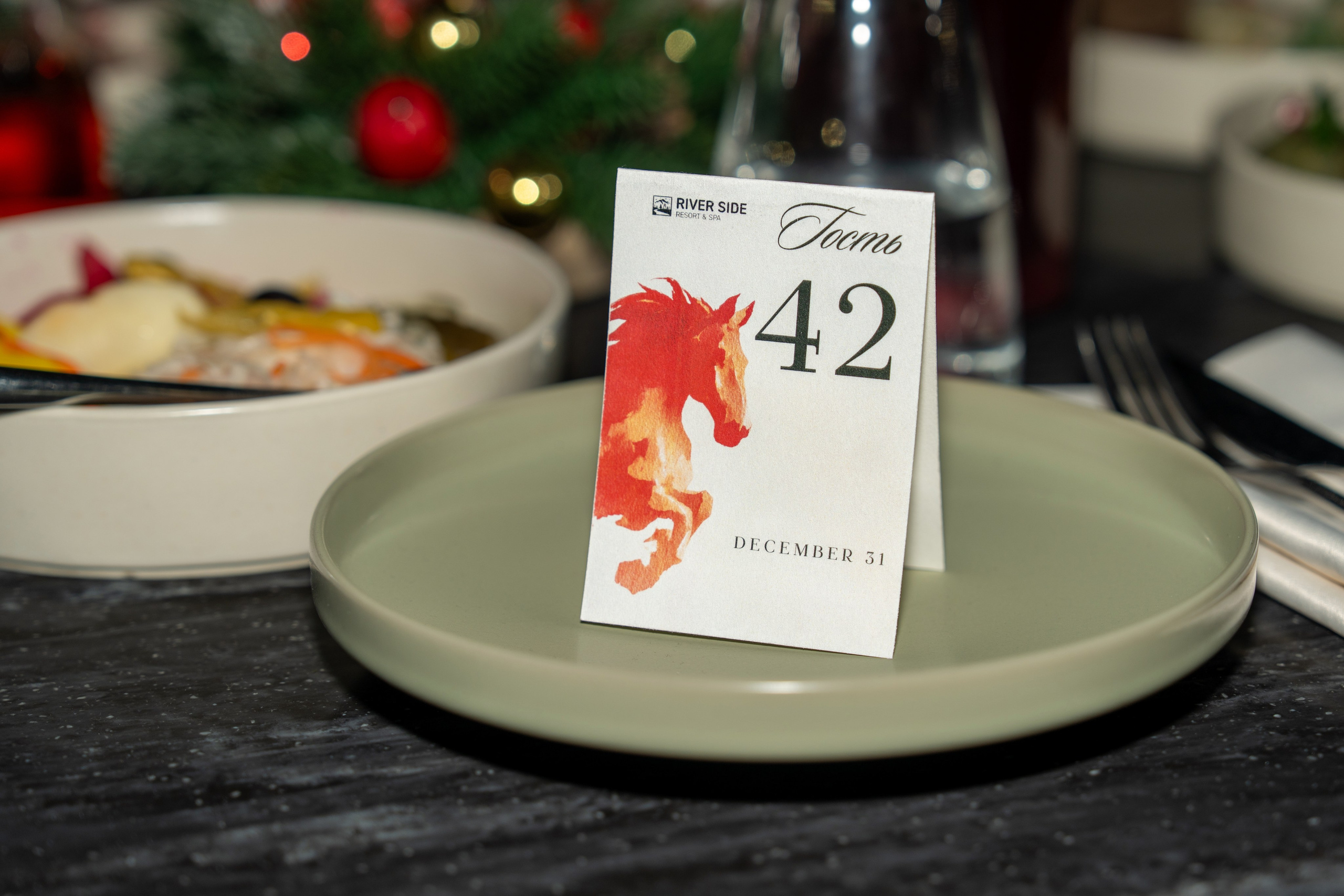 RS NYEAR2026. Репортажный фотограф в Красной Поляне и Сочи Павлюченко Екатерина