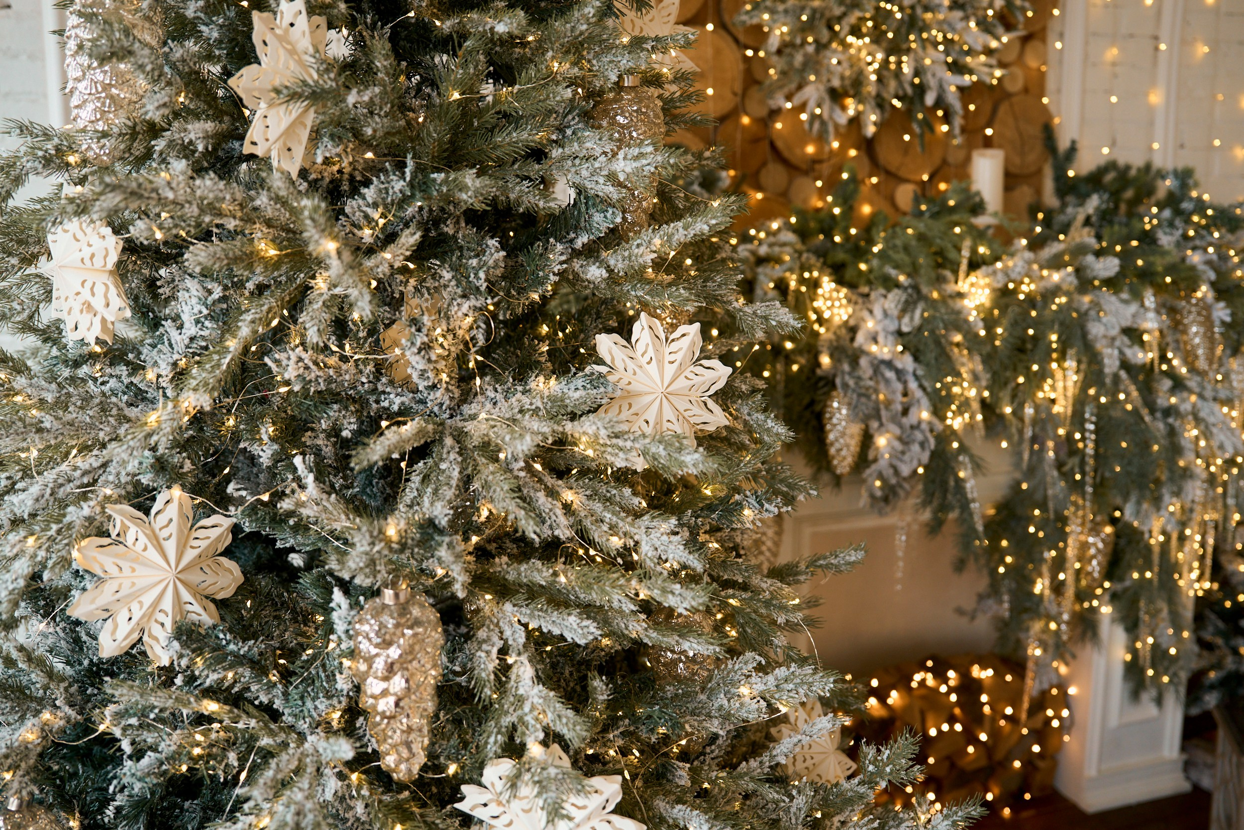 Флэт (Flat). Фотограф г. Хабаровск. Семейные и индивидуальные съёмки