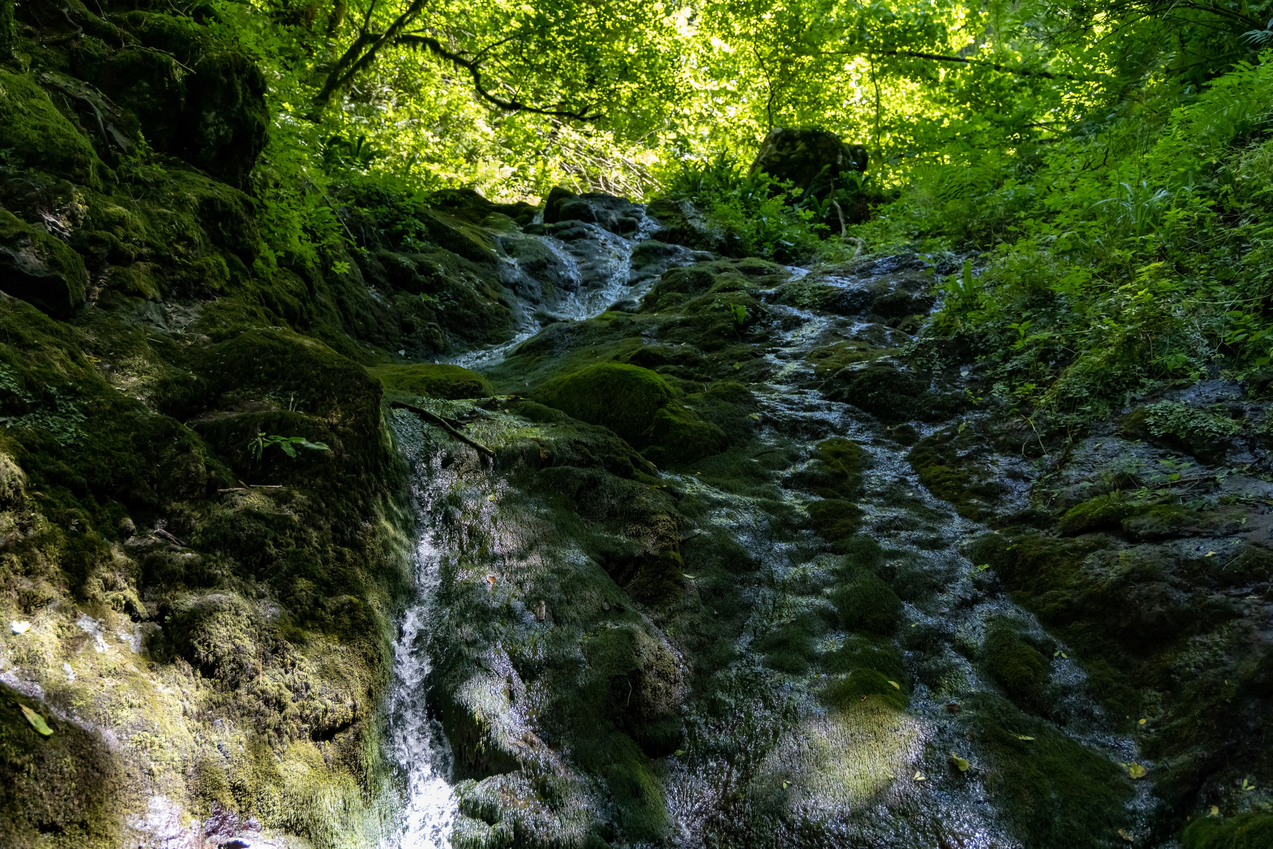 Сочи. Солох Аул. Репортажный, семейный и студийный фотограф в Москве Демин Алексей