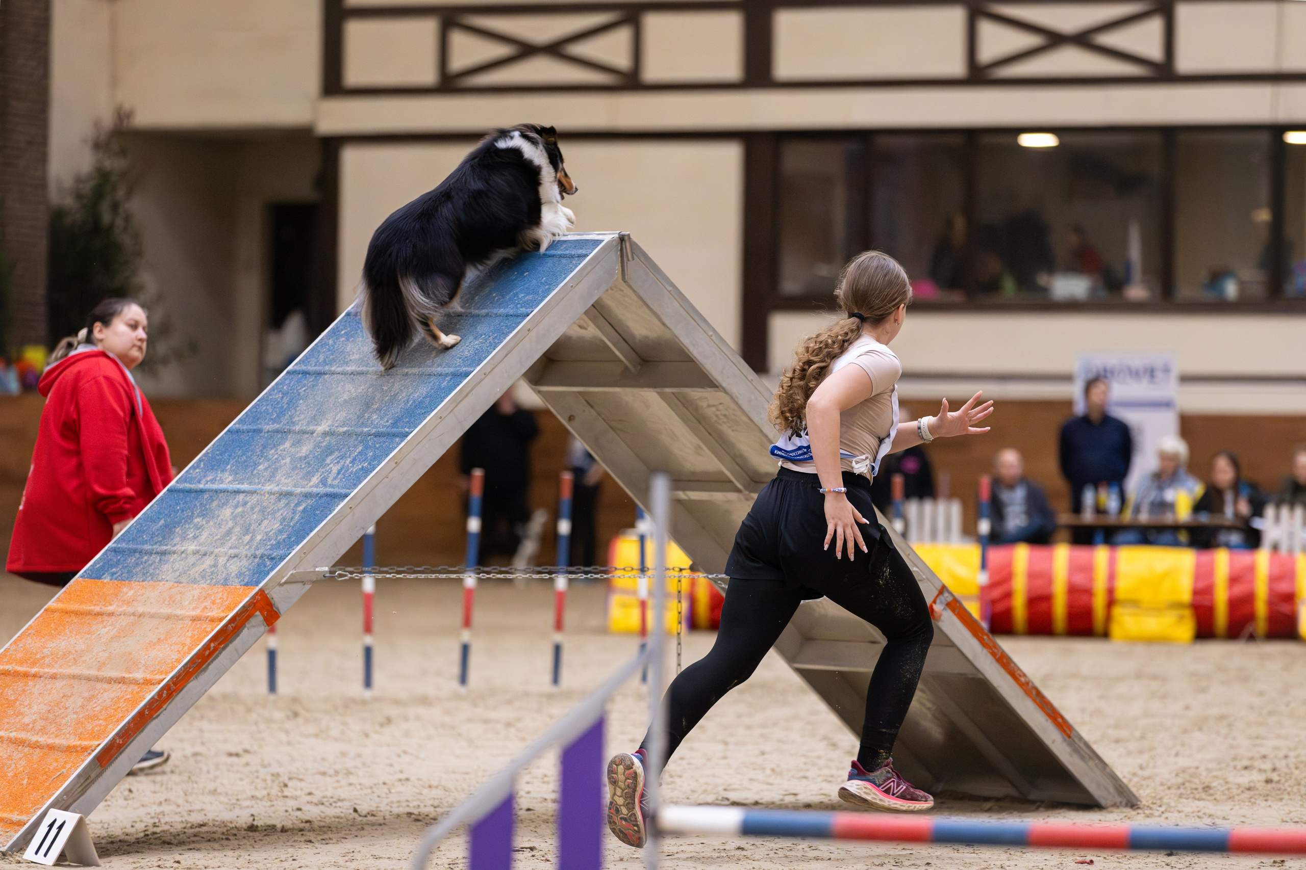 Репортажная съёмка спортивных мероприятий. ESHE_PHOTO Фотограф анималист в Москве и Московской области