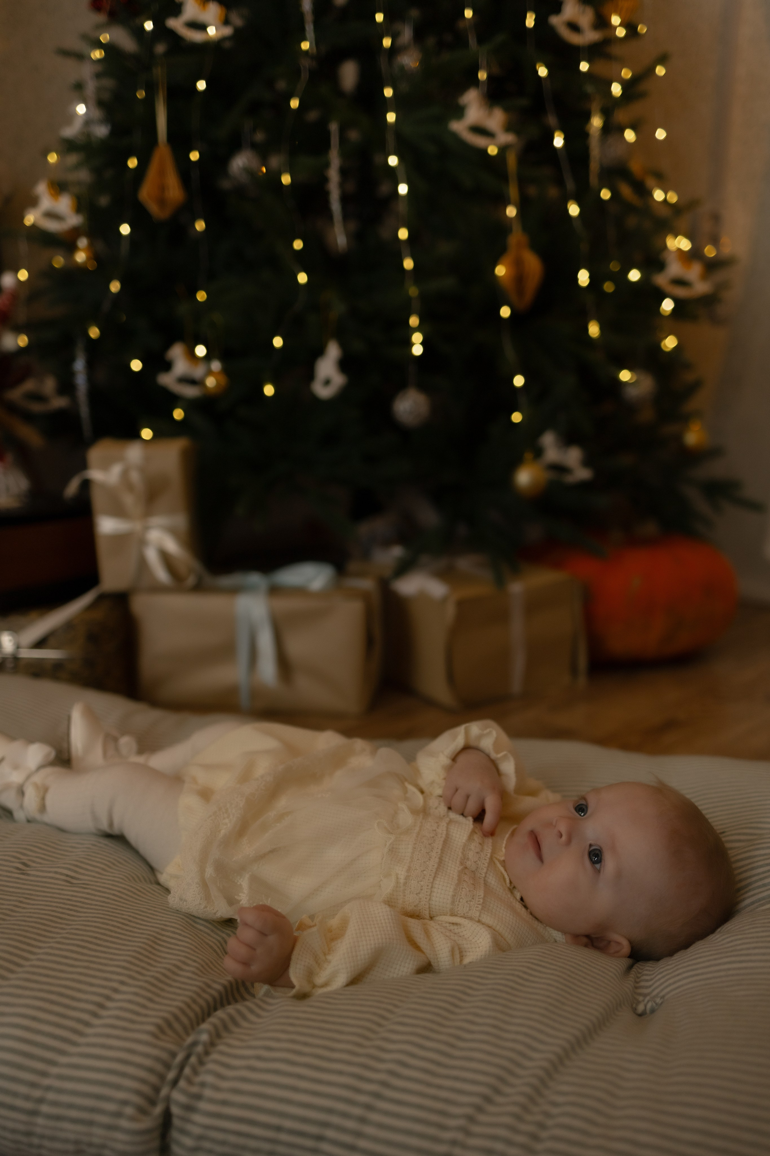 Семейная новогодняя. Фотограф Татьяна Семенова