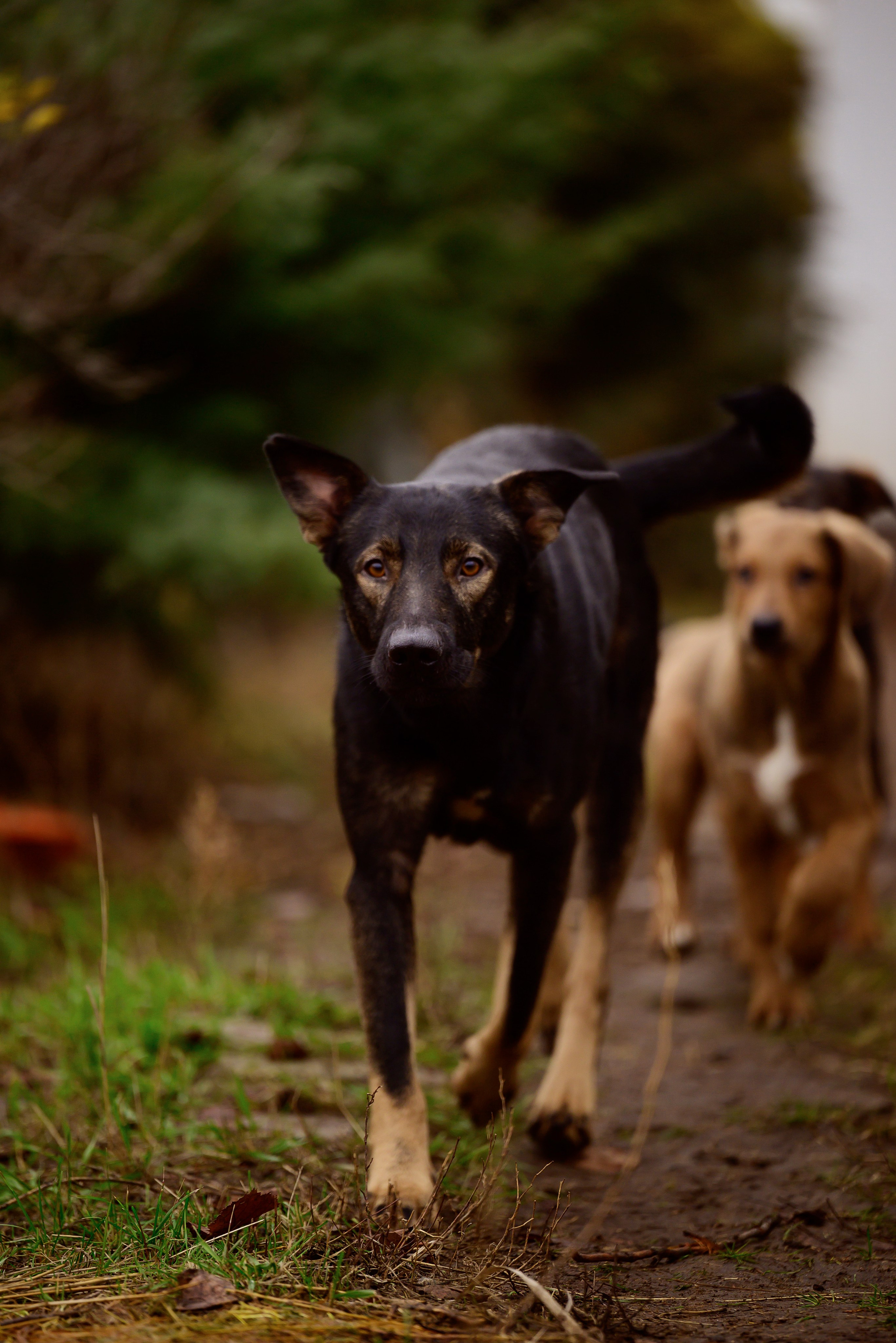 Круассанчики. Мила Астахова