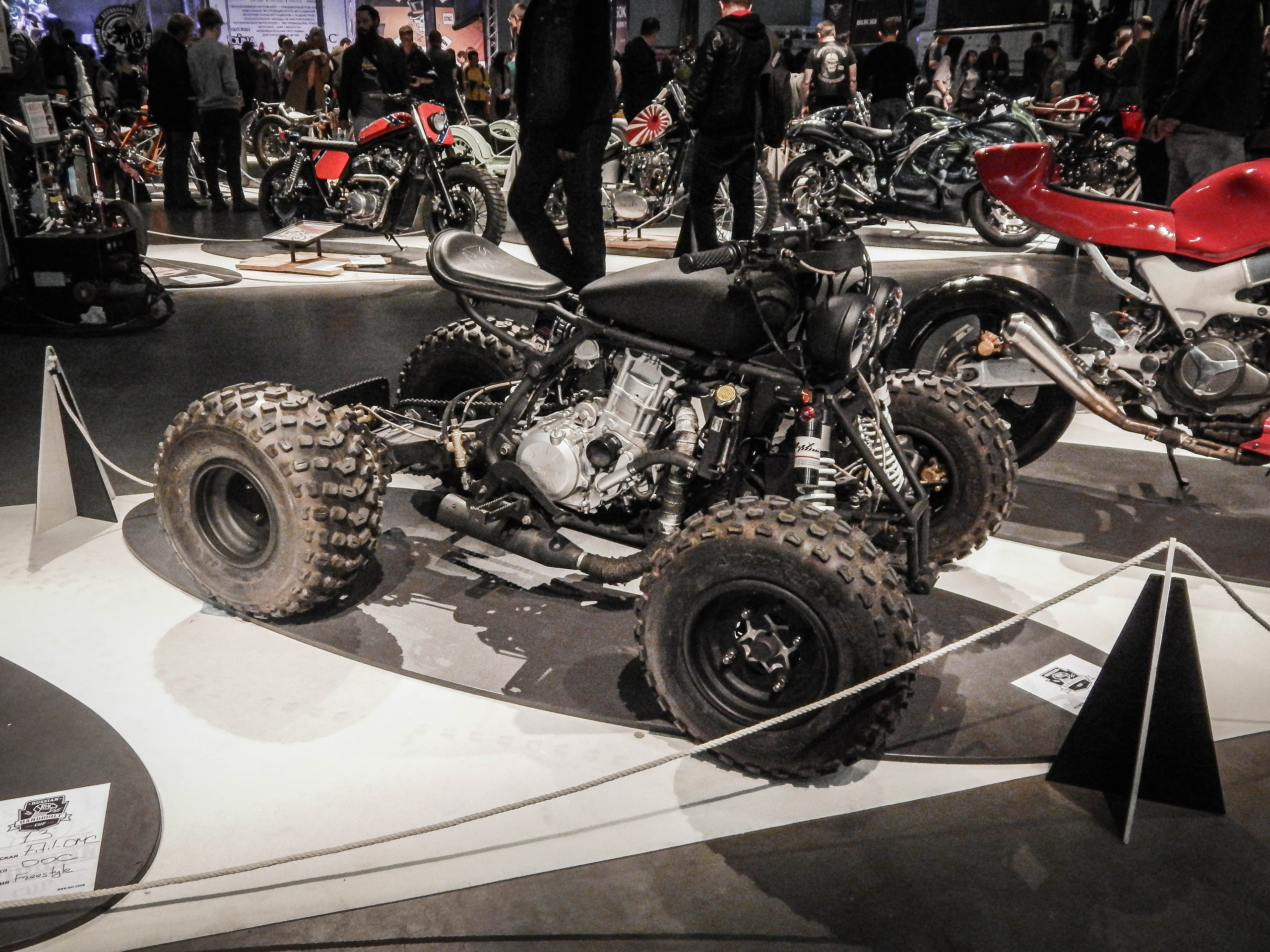 IMIS 2019. Александр Попов