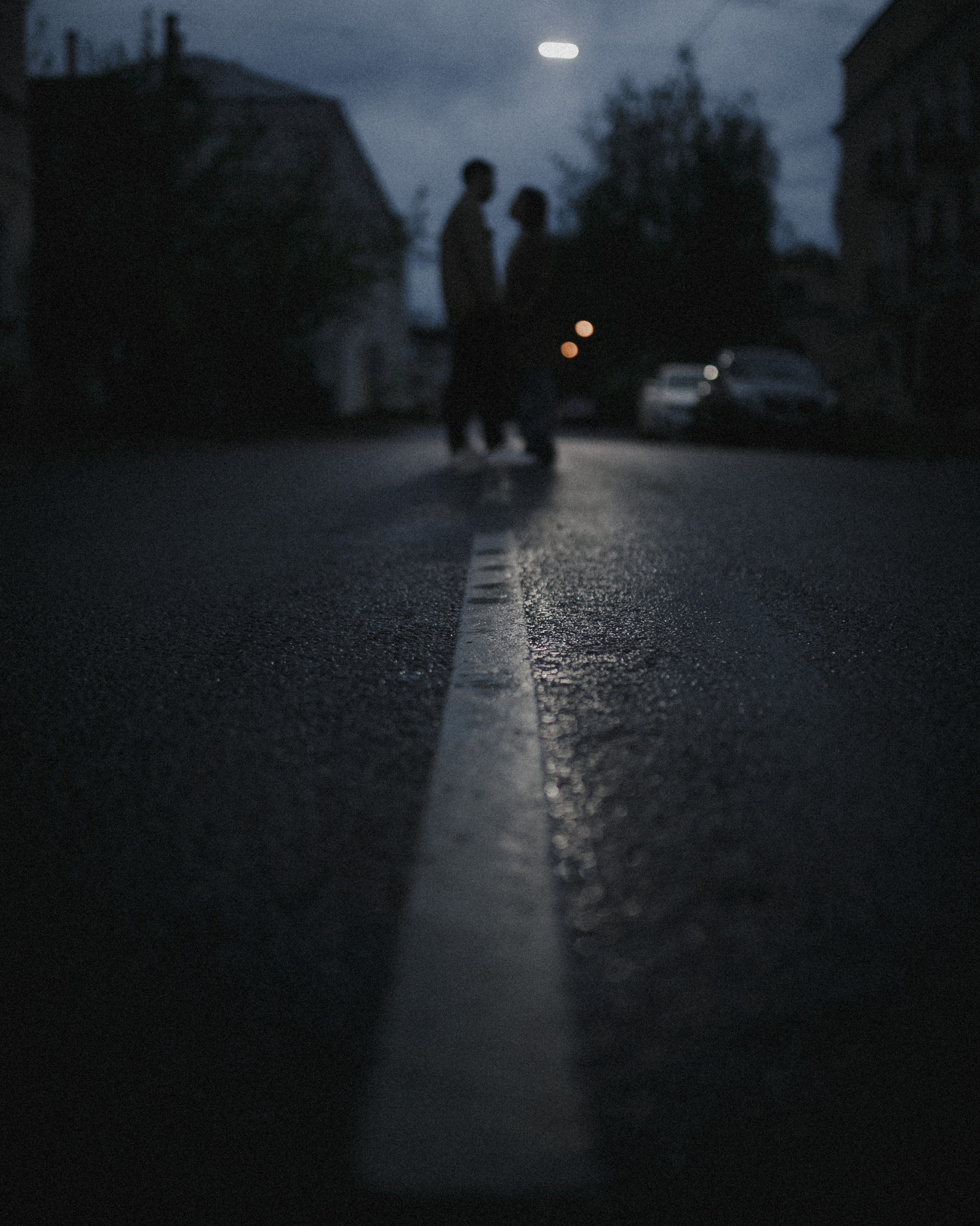 Владимир и Алиса. Свадебный фотограф Владимир Воронин