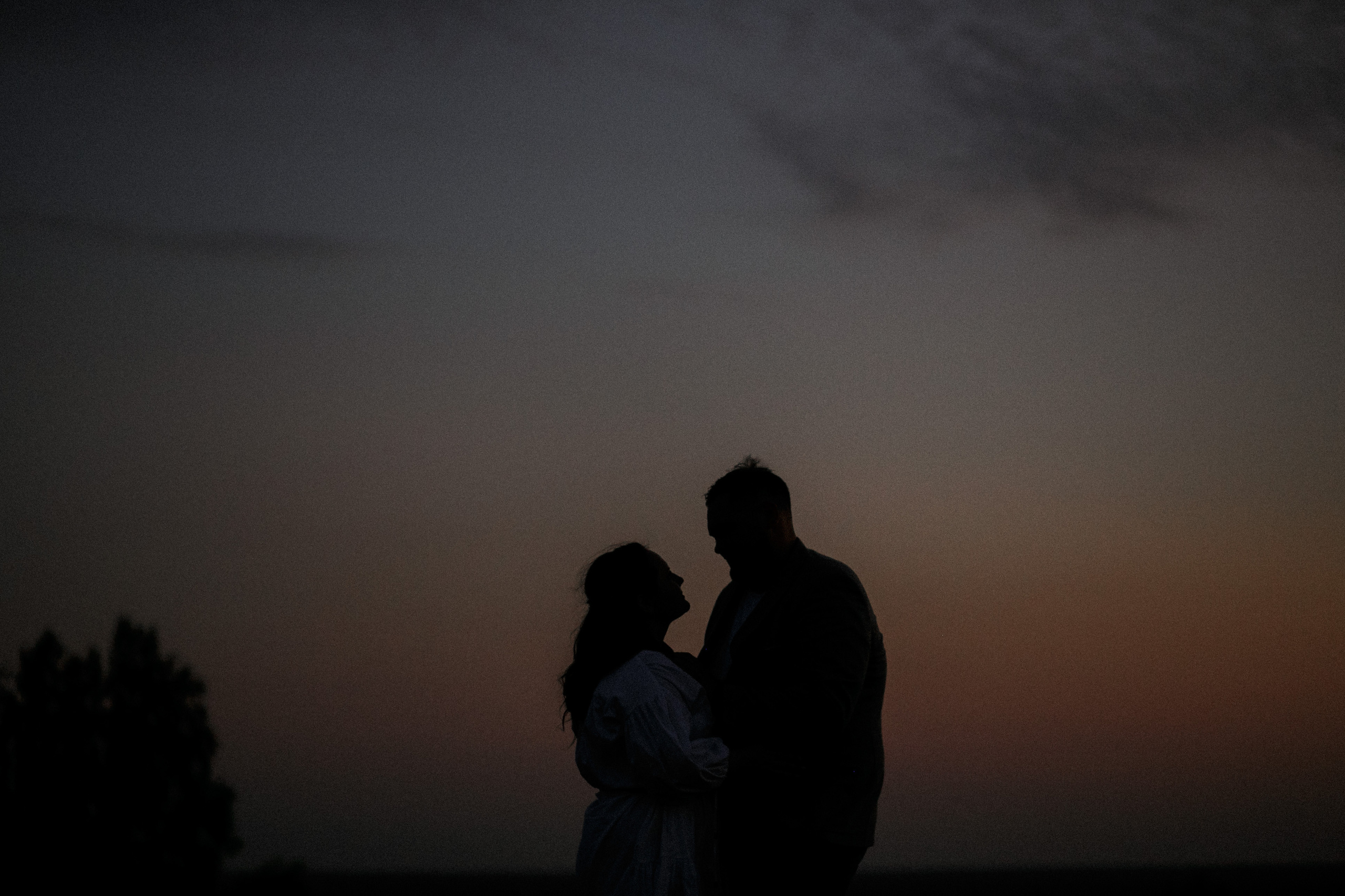 Алексей и Софья. Свадебный фотограф Владимир Воронин