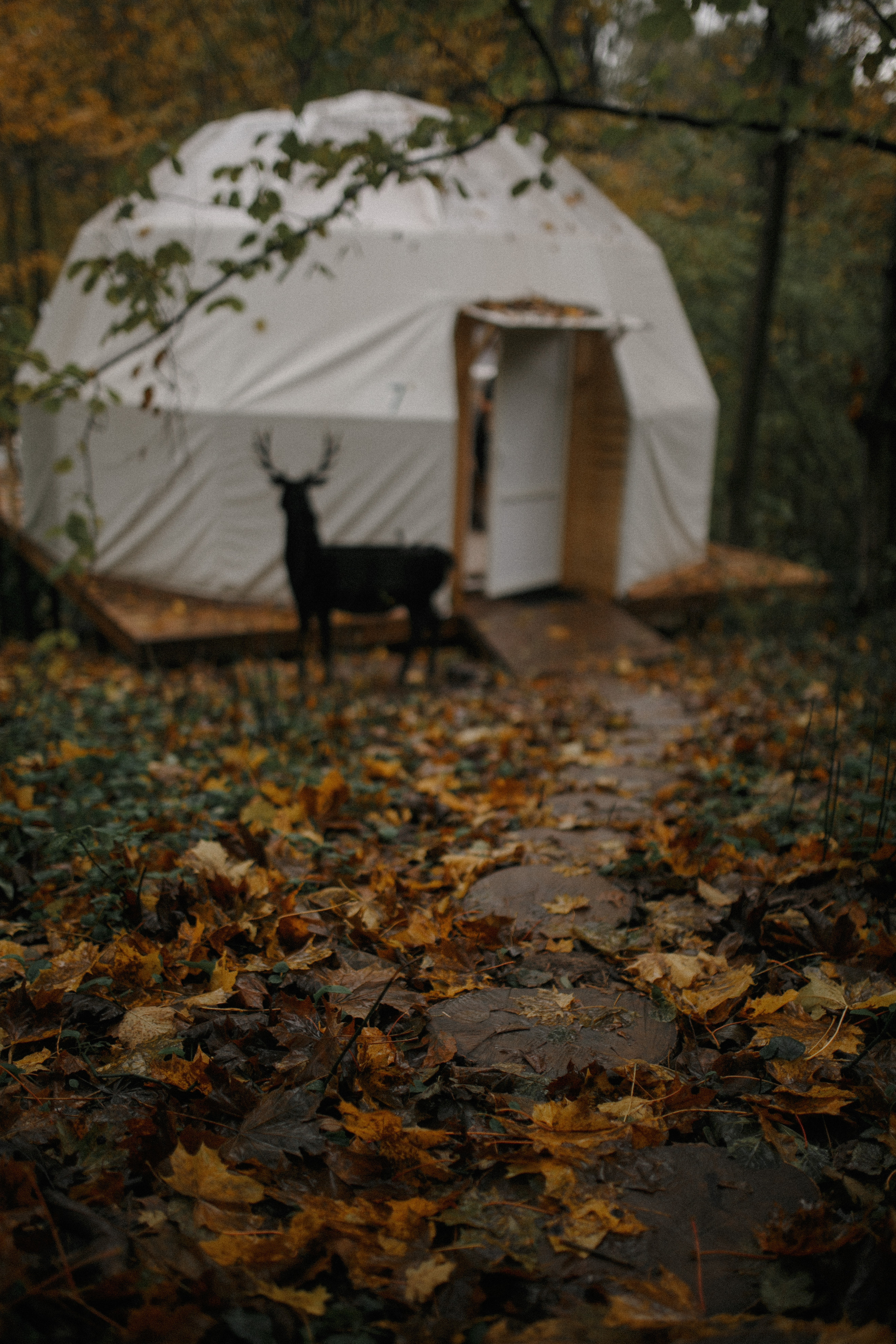 Алекс и Анастасия. Свадебный фотограф Владимир Воронин