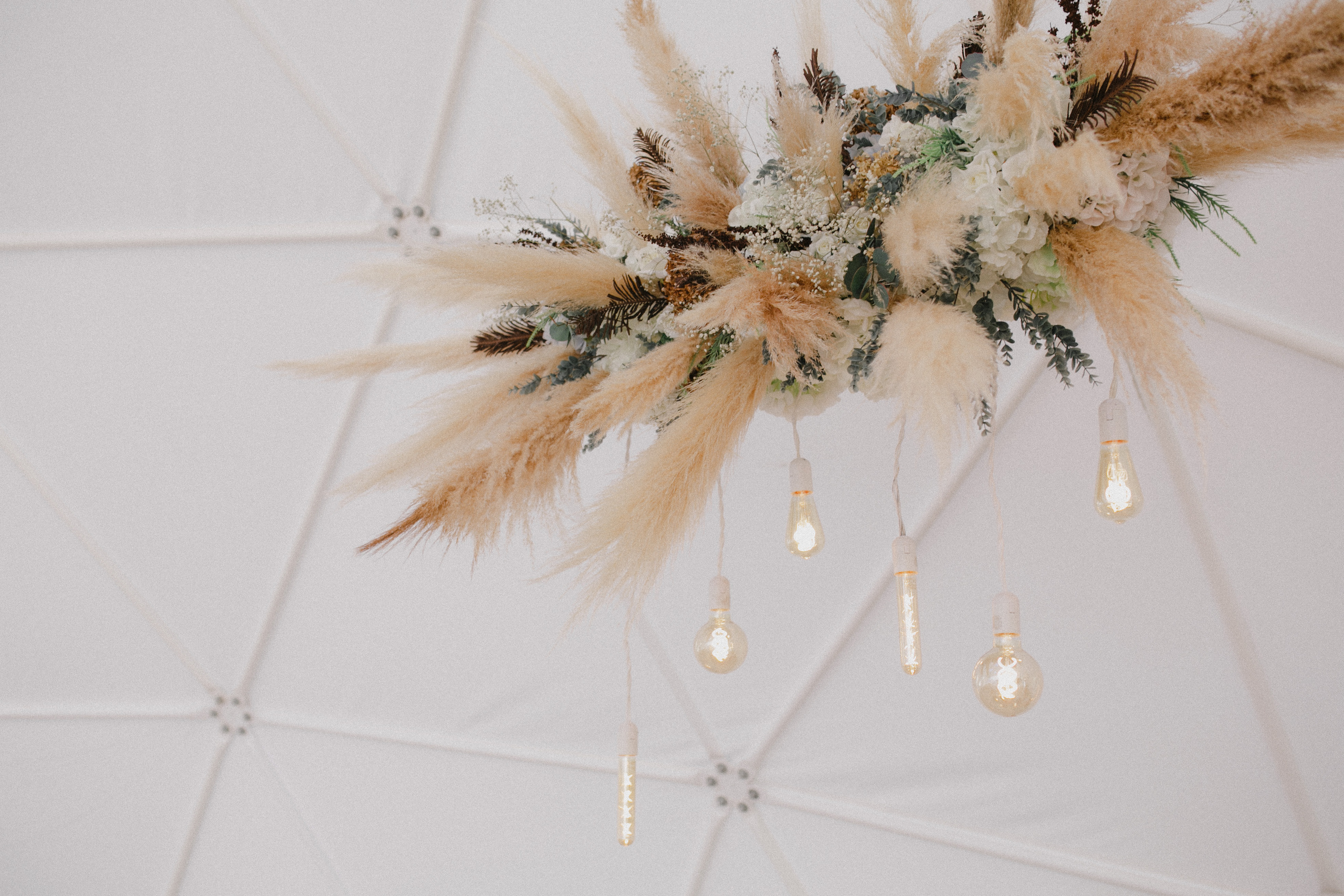 Алексей и Софья. Свадебный фотограф Владимир Воронин