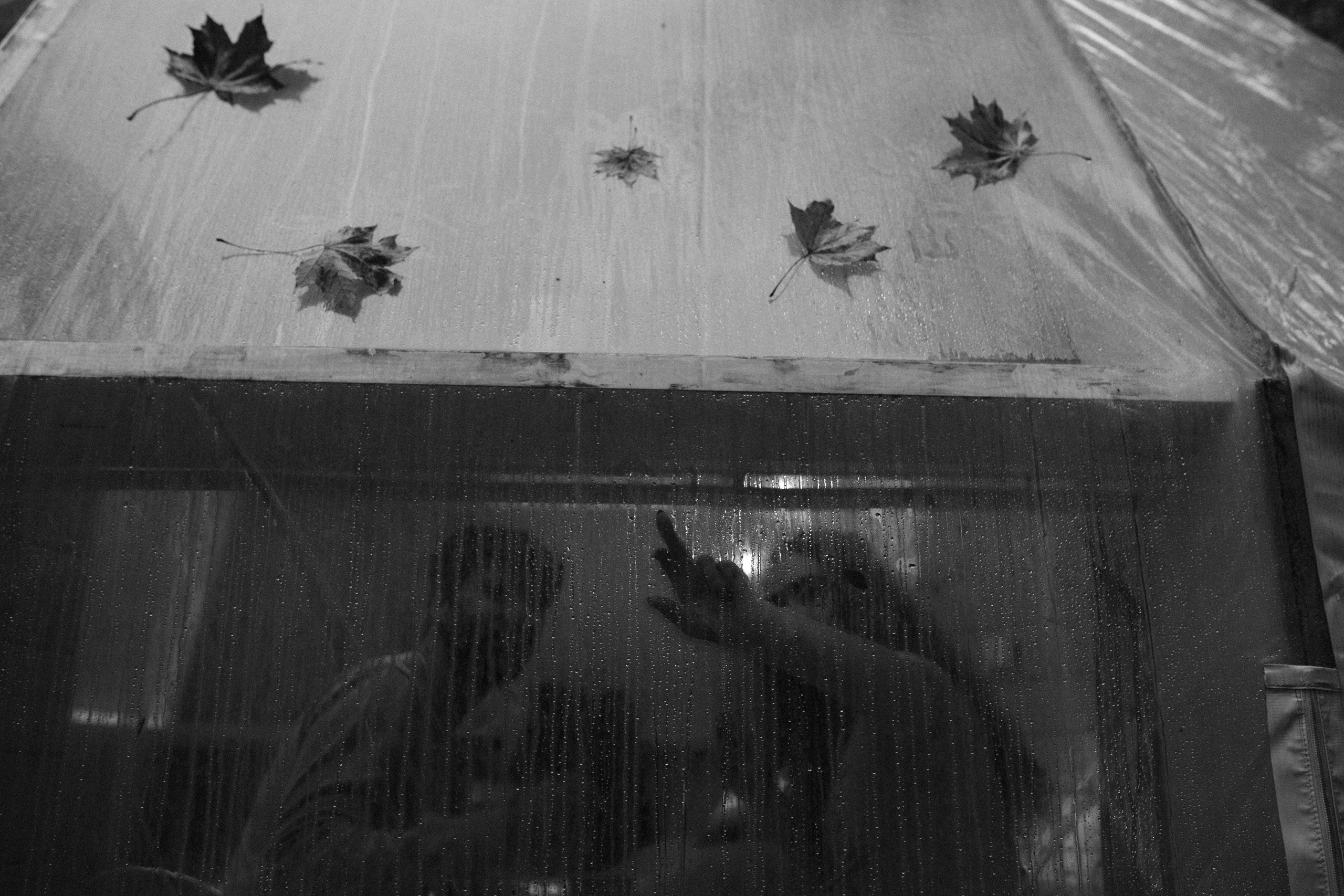 Алекс и Анастасия. Свадебный фотограф Владимир Воронин