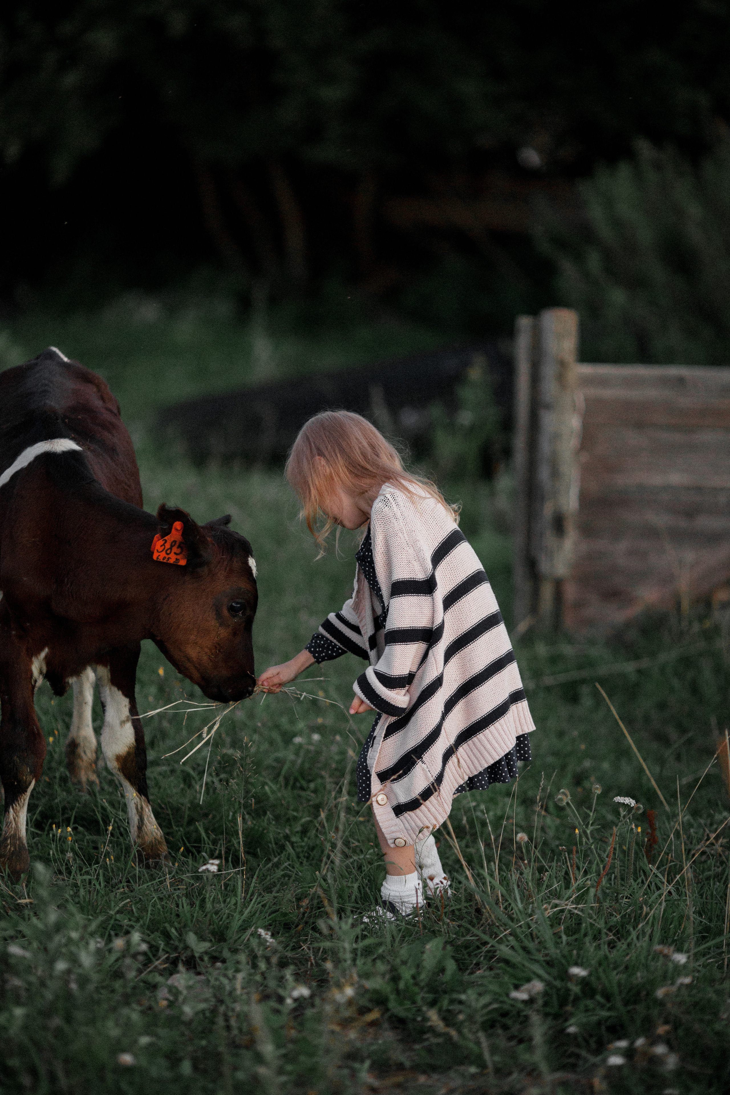 Маша и Диана. Свадебный фотограф Владимир Воронин