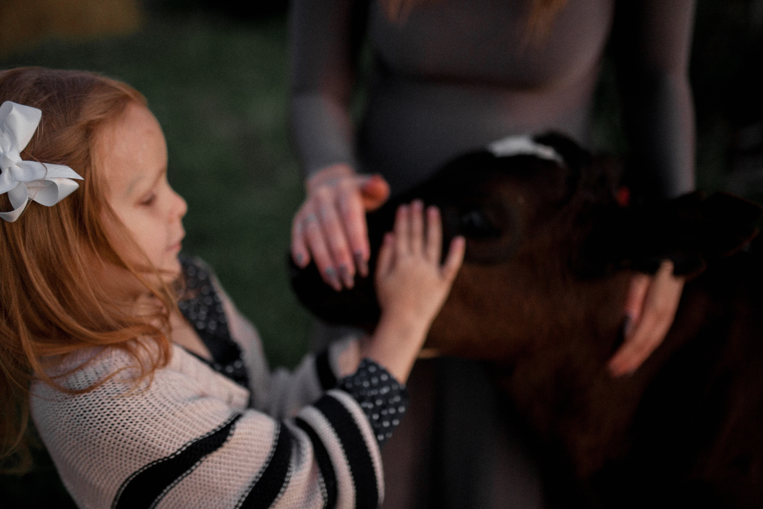 Маша и Диана. Свадебный фотограф Владимир Воронин