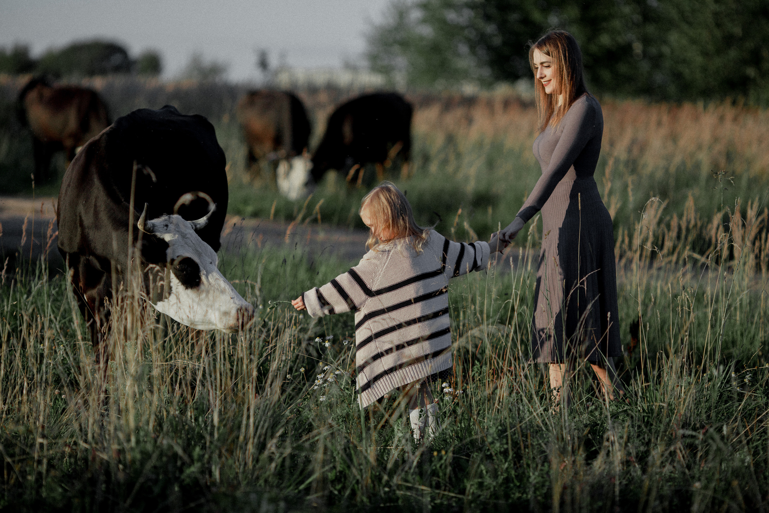 Маша и Диана. Свадебный фотограф Владимир Воронин