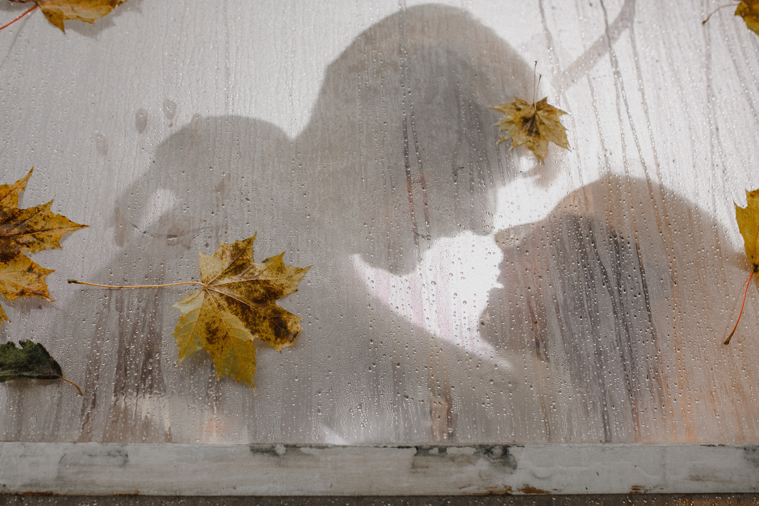 Алекс и Анастасия. Свадебный фотограф Владимир Воронин