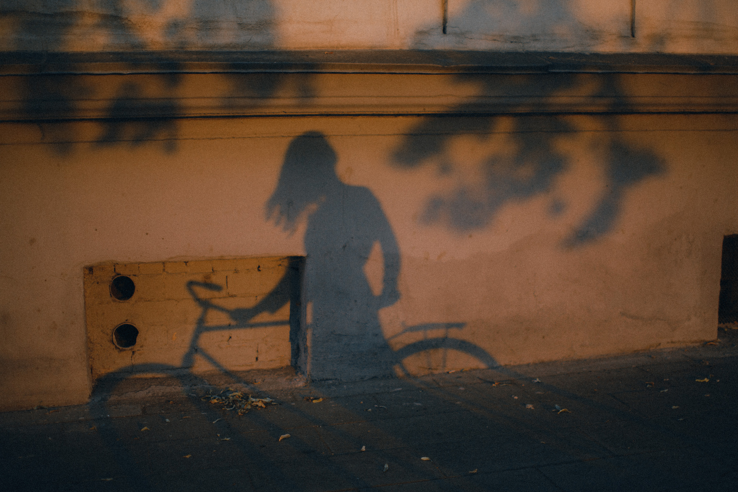 Валерия. Свадебный фотограф Владимир Воронин
