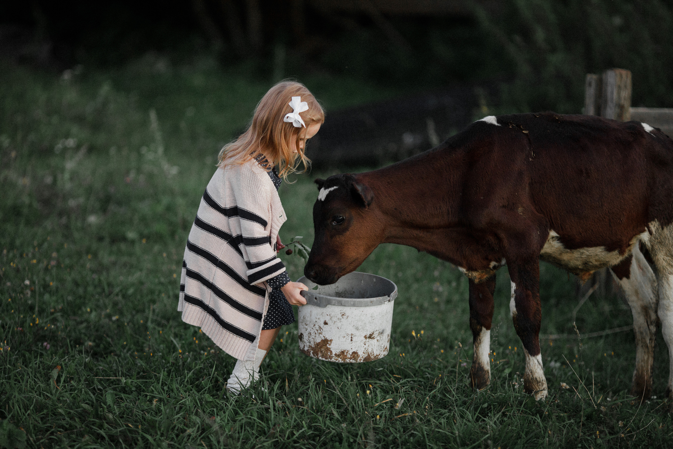 Маша и Диана. Свадебный фотограф Владимир Воронин