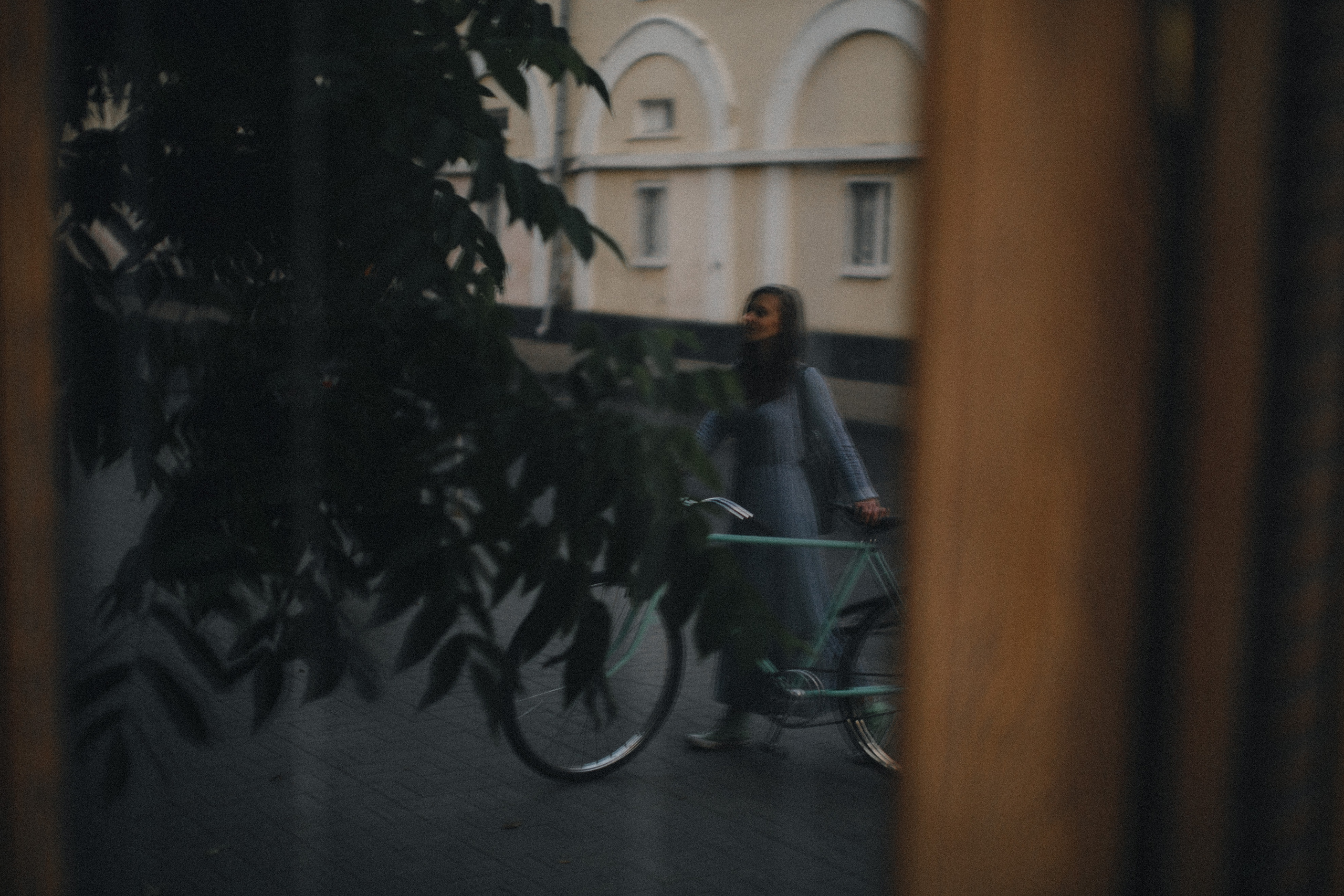 Валерия. Свадебный фотограф Владимир Воронин