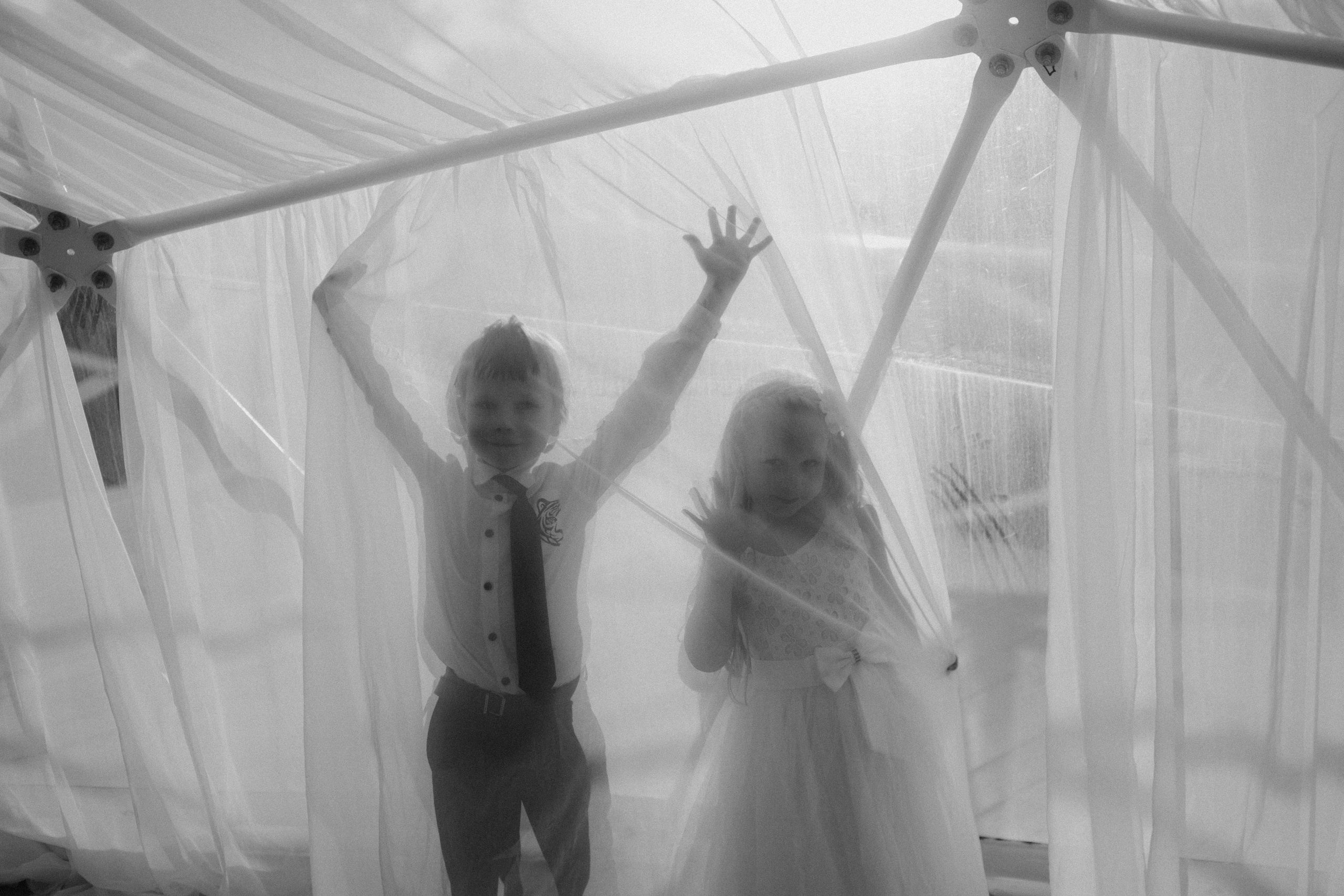 Алексей и Софья. Свадебный фотограф Владимир Воронин