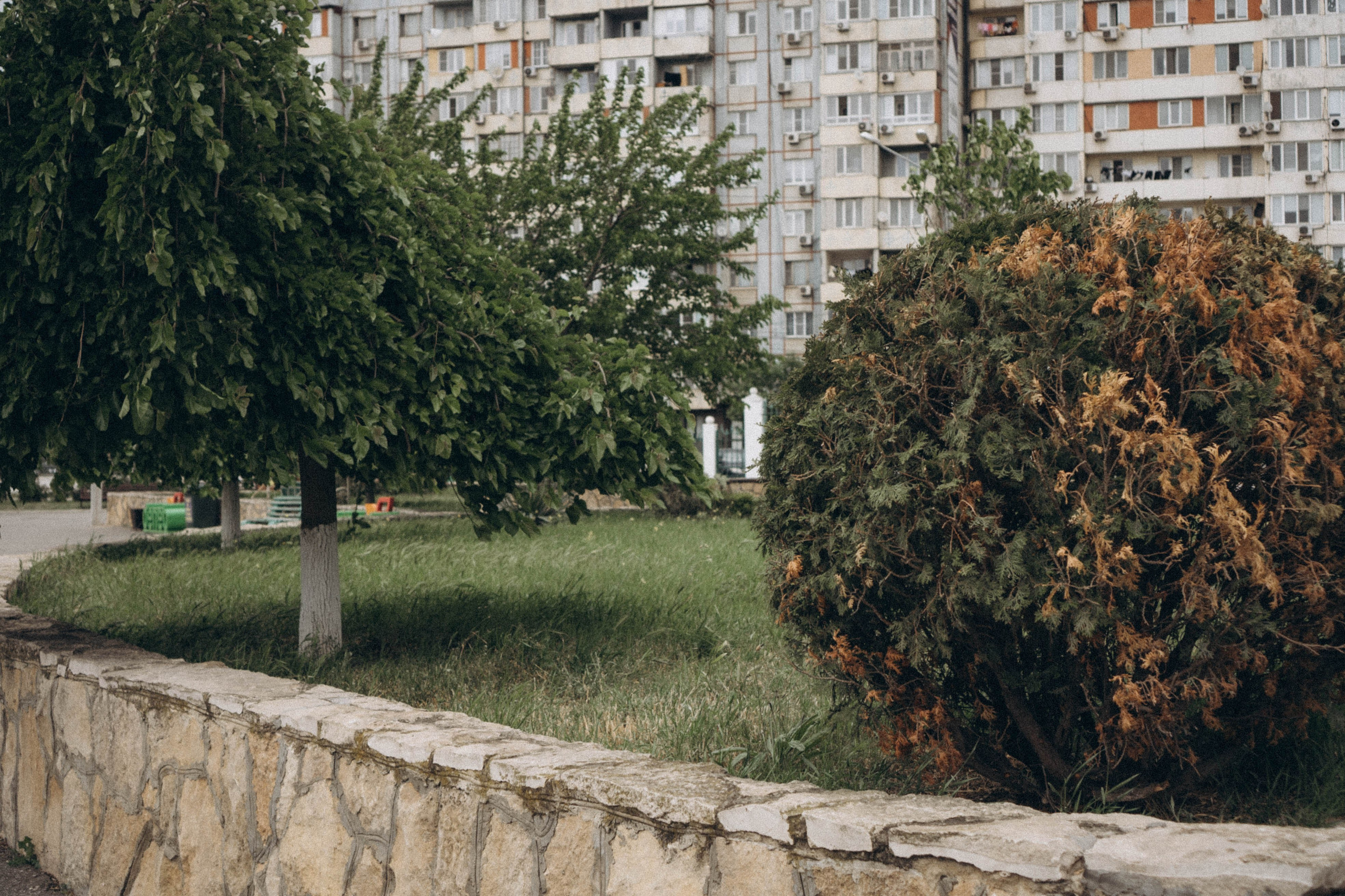 Кавказ. Профессиональный фотограф, Санкт-Петербург — Виктория Богомолова