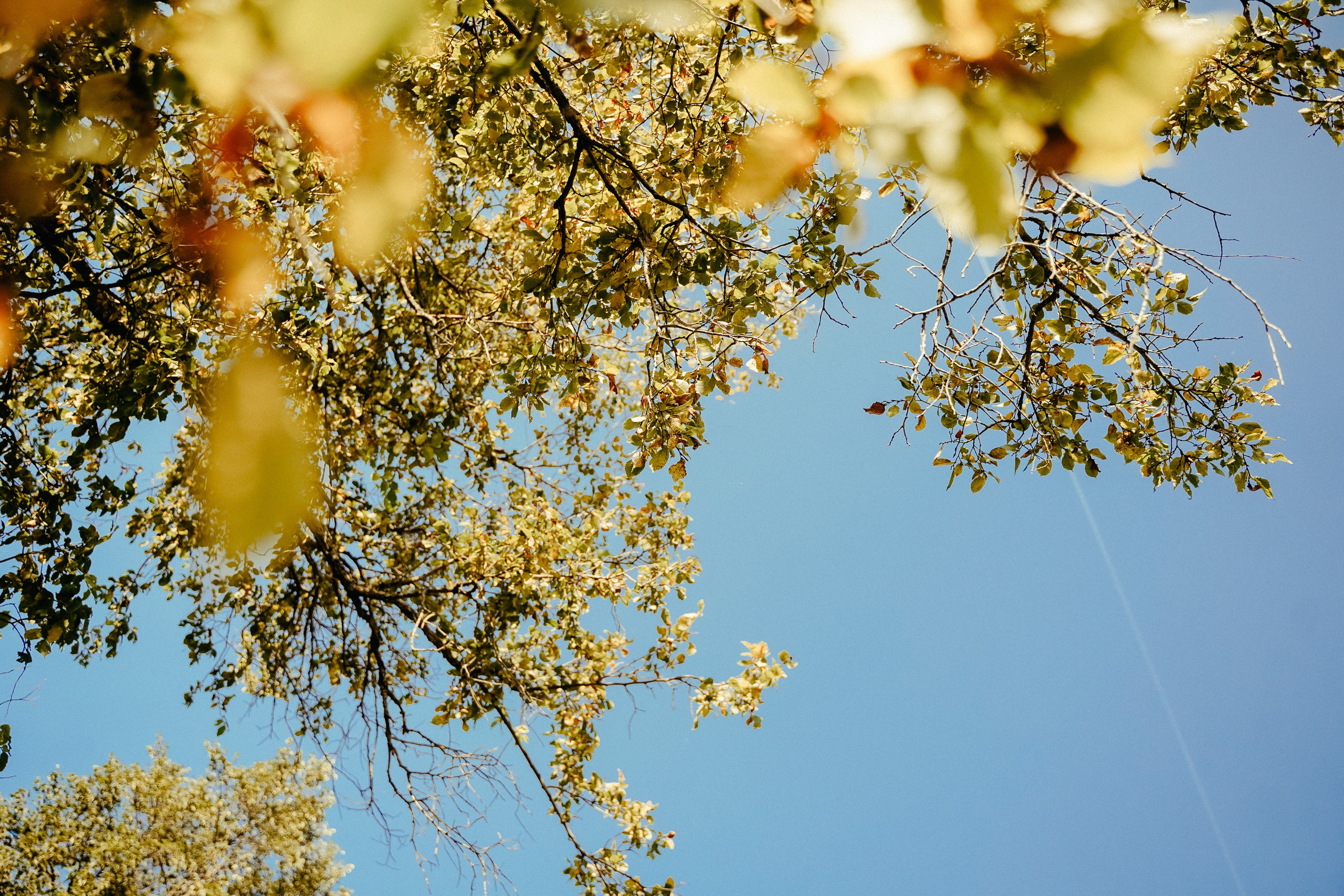 Семейная съемка осенью