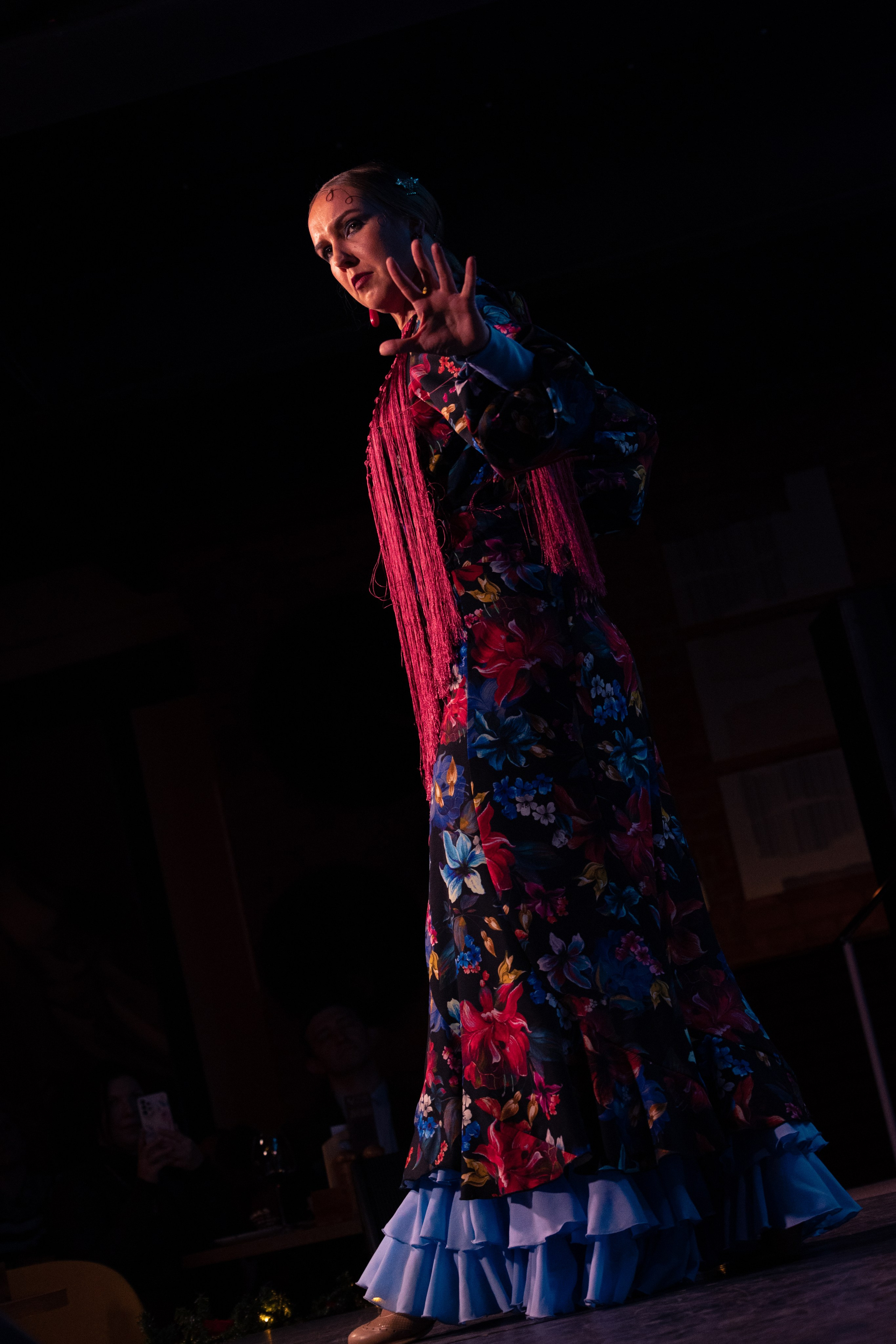 Flamenco 02.01.2025. Индивидуальные съемки, портретный фотограф