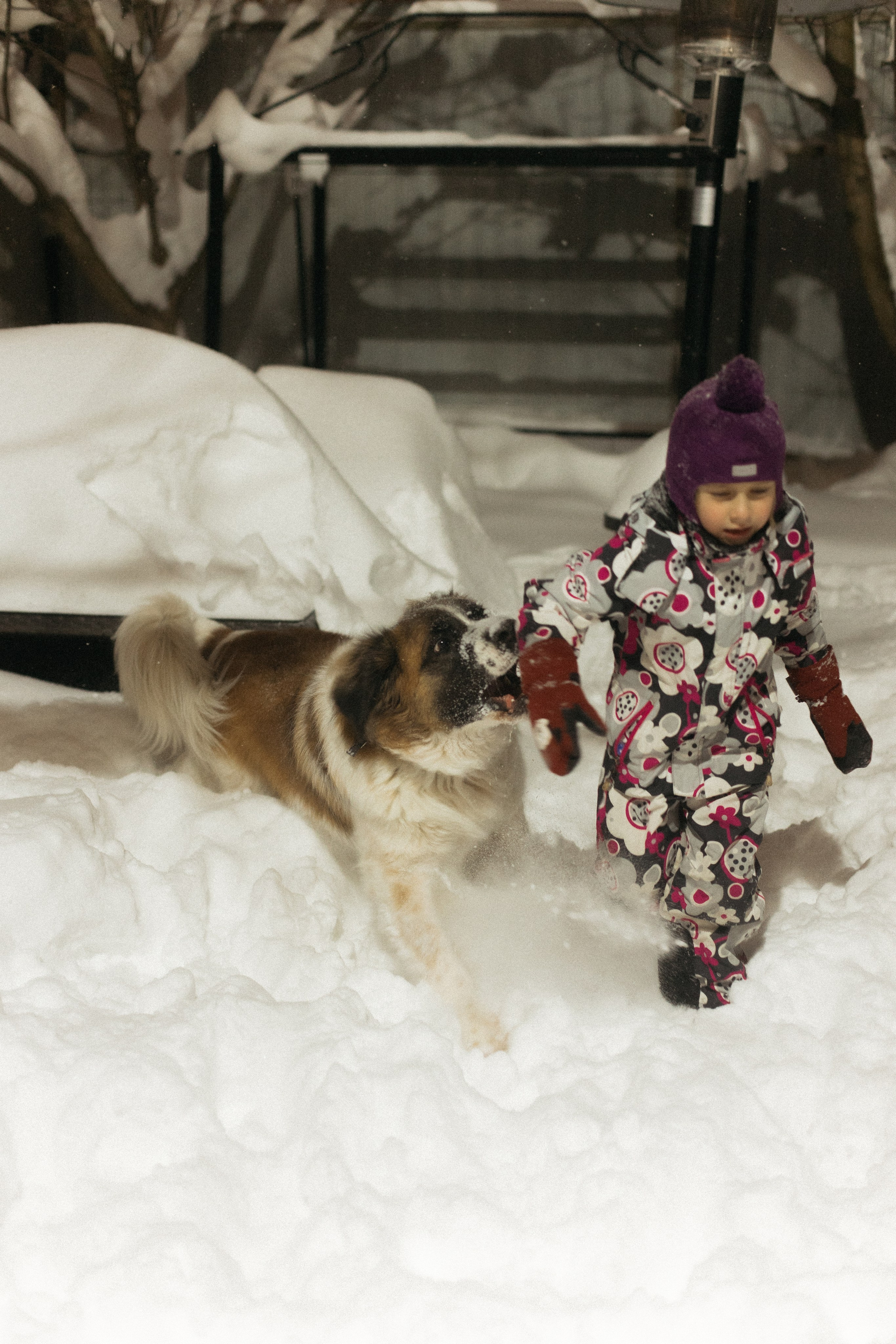 Когда на улице холодно. Фотограф из Петербурга