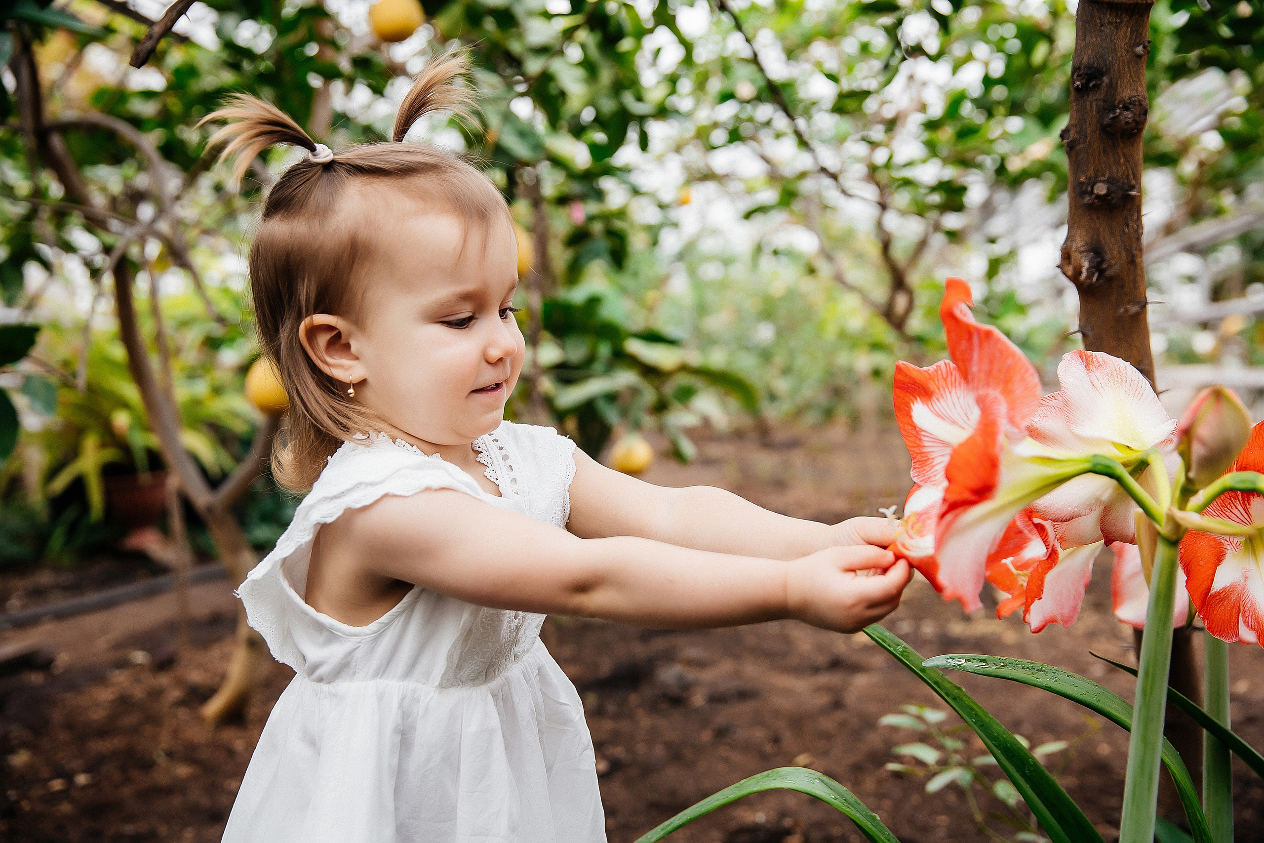 Лимонарий. Свадебный и семейный фотограф у Уфе Евгения Сазонова
