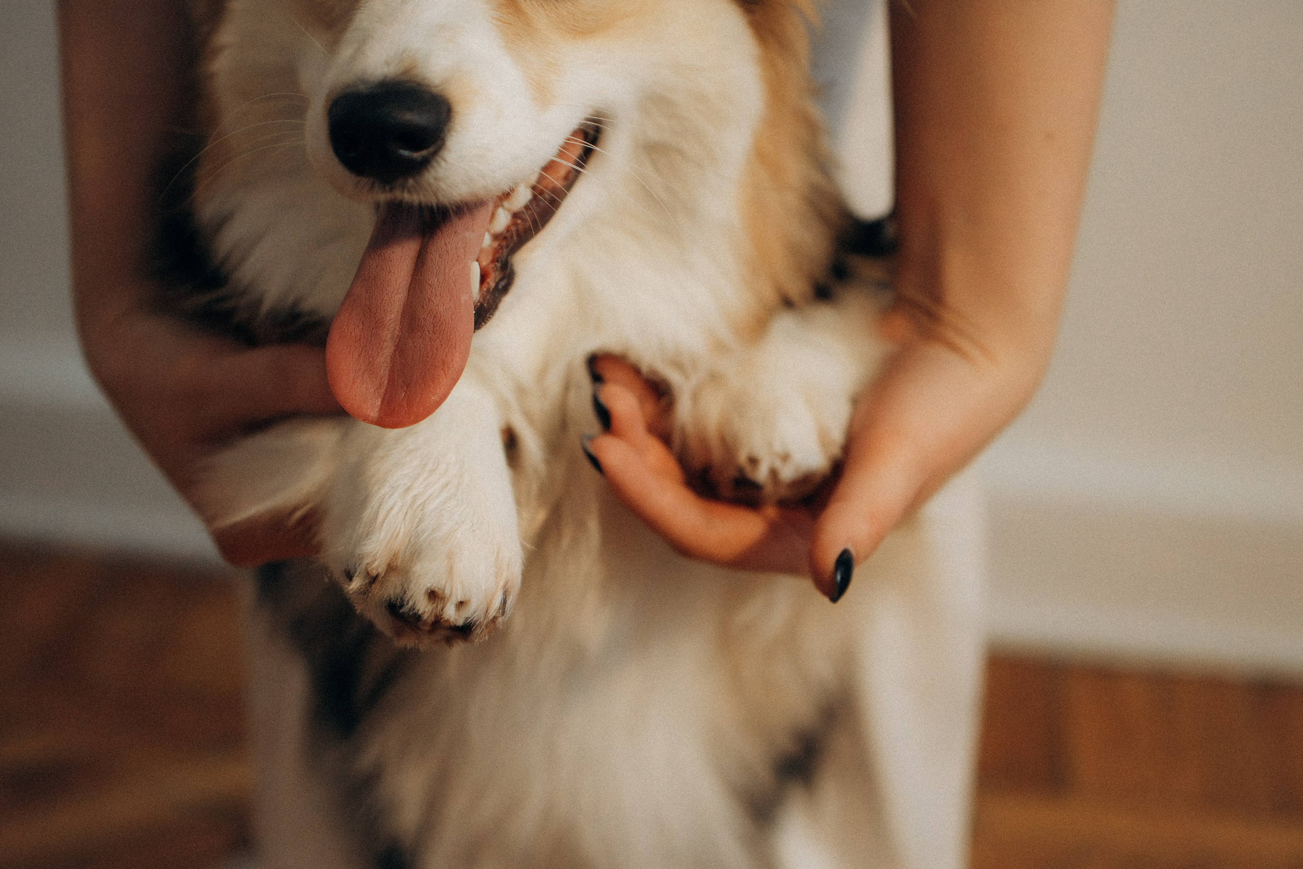 Мишель и Влада. Фотораф — анималист Мария Шистка