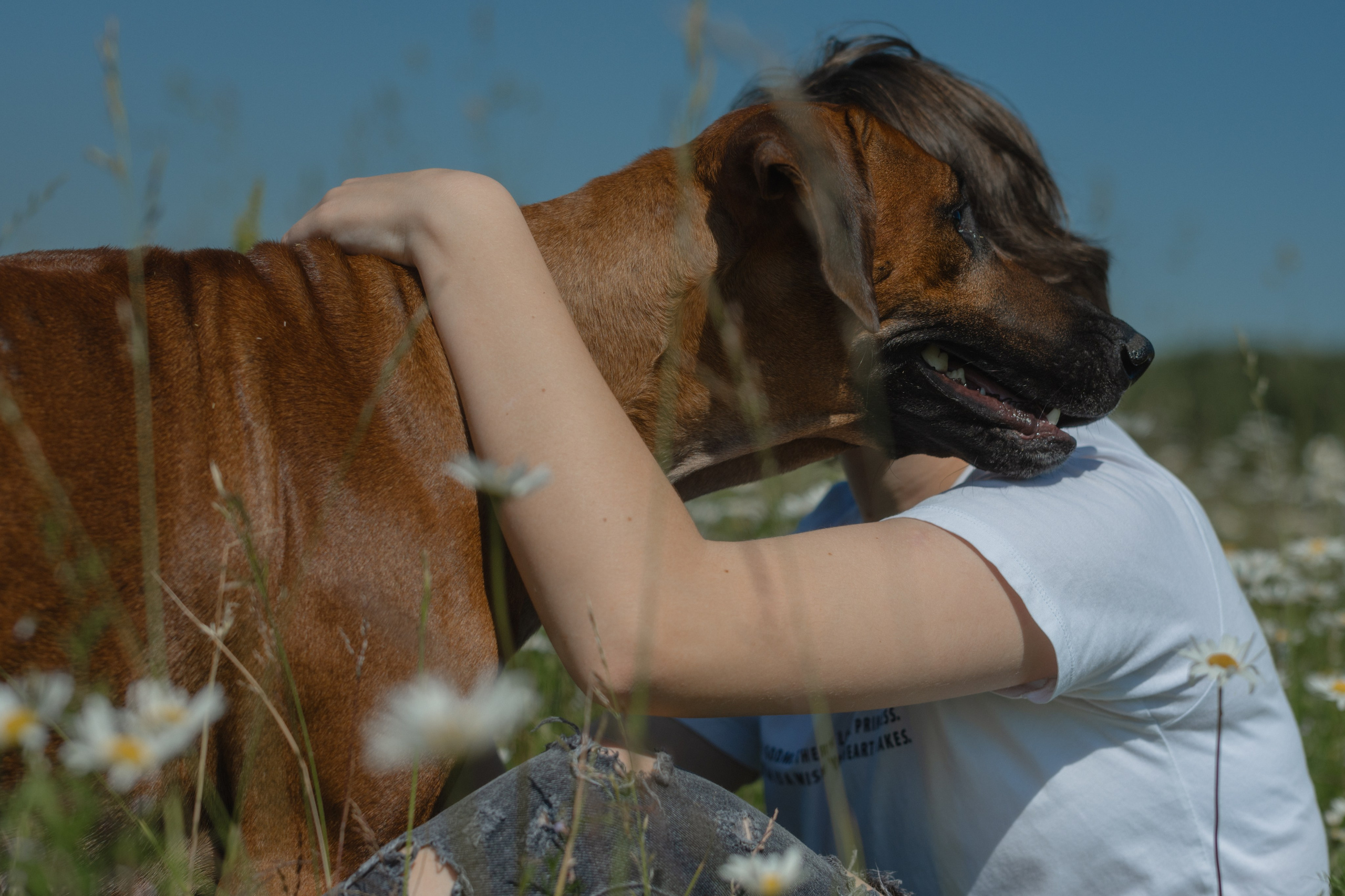 Белла ❤️. Семейный фотограф и анималист в Москве и Московской области