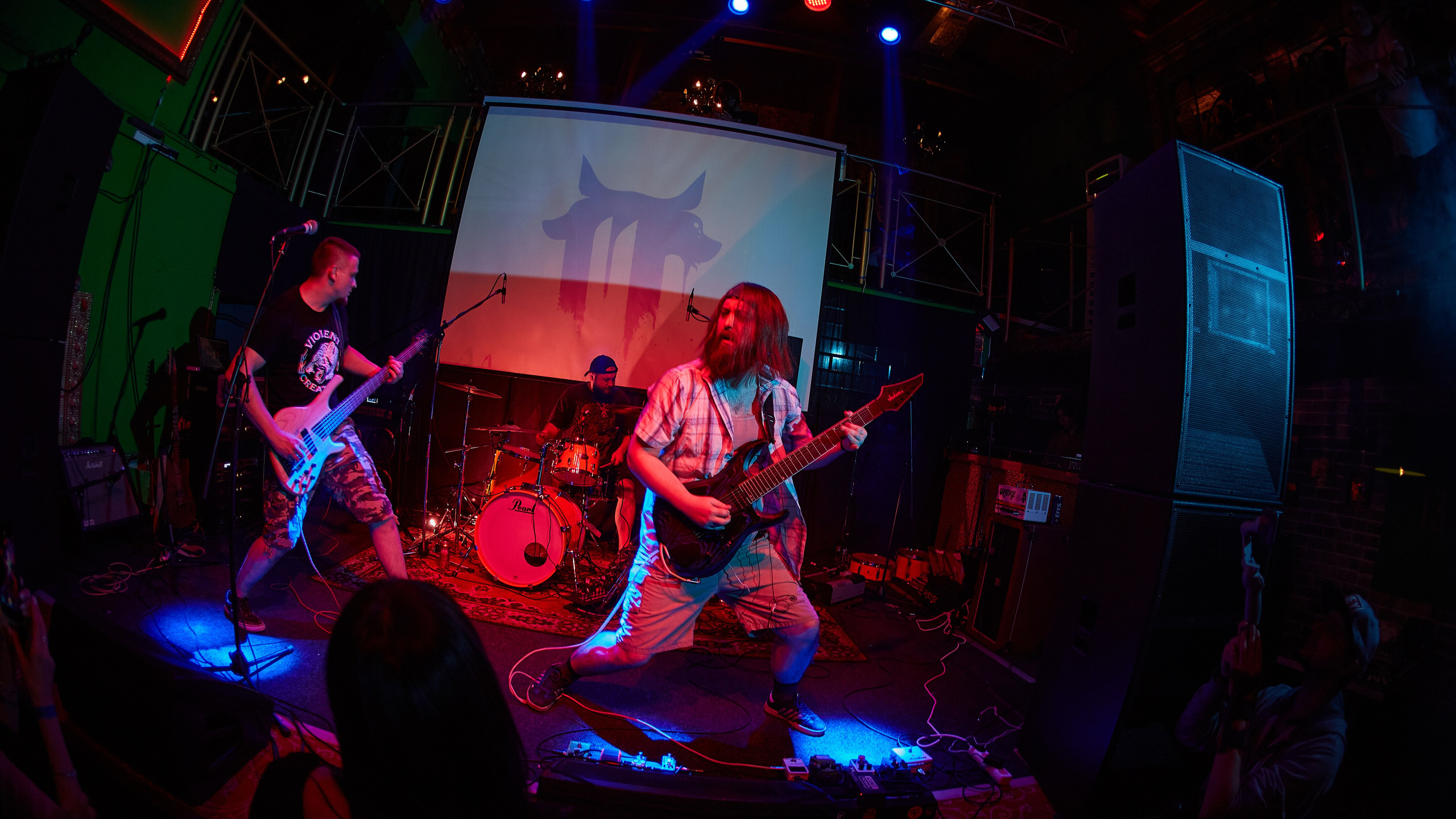 2023-11-04. Tired dog