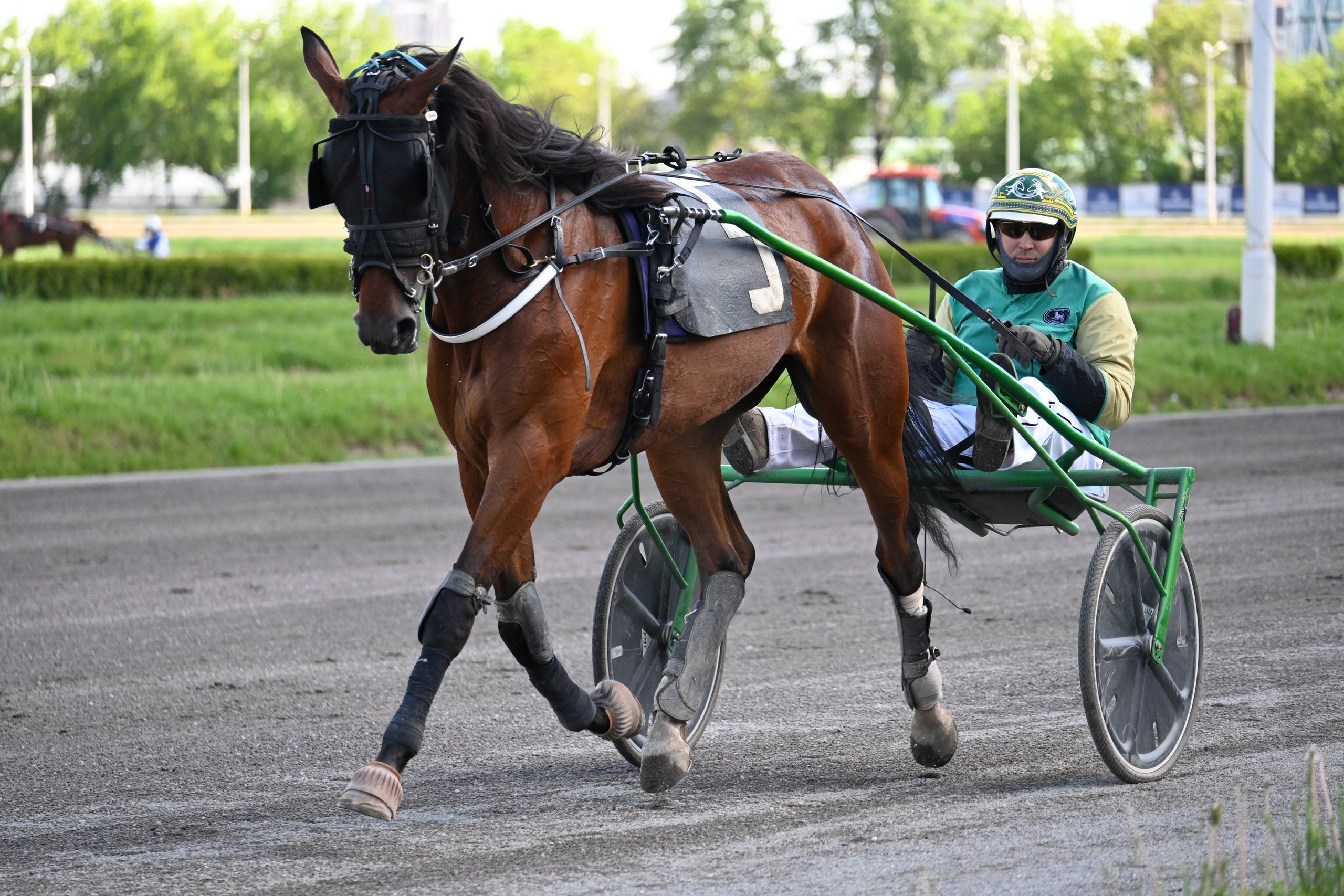 Ипподром (Москва). Fotolux