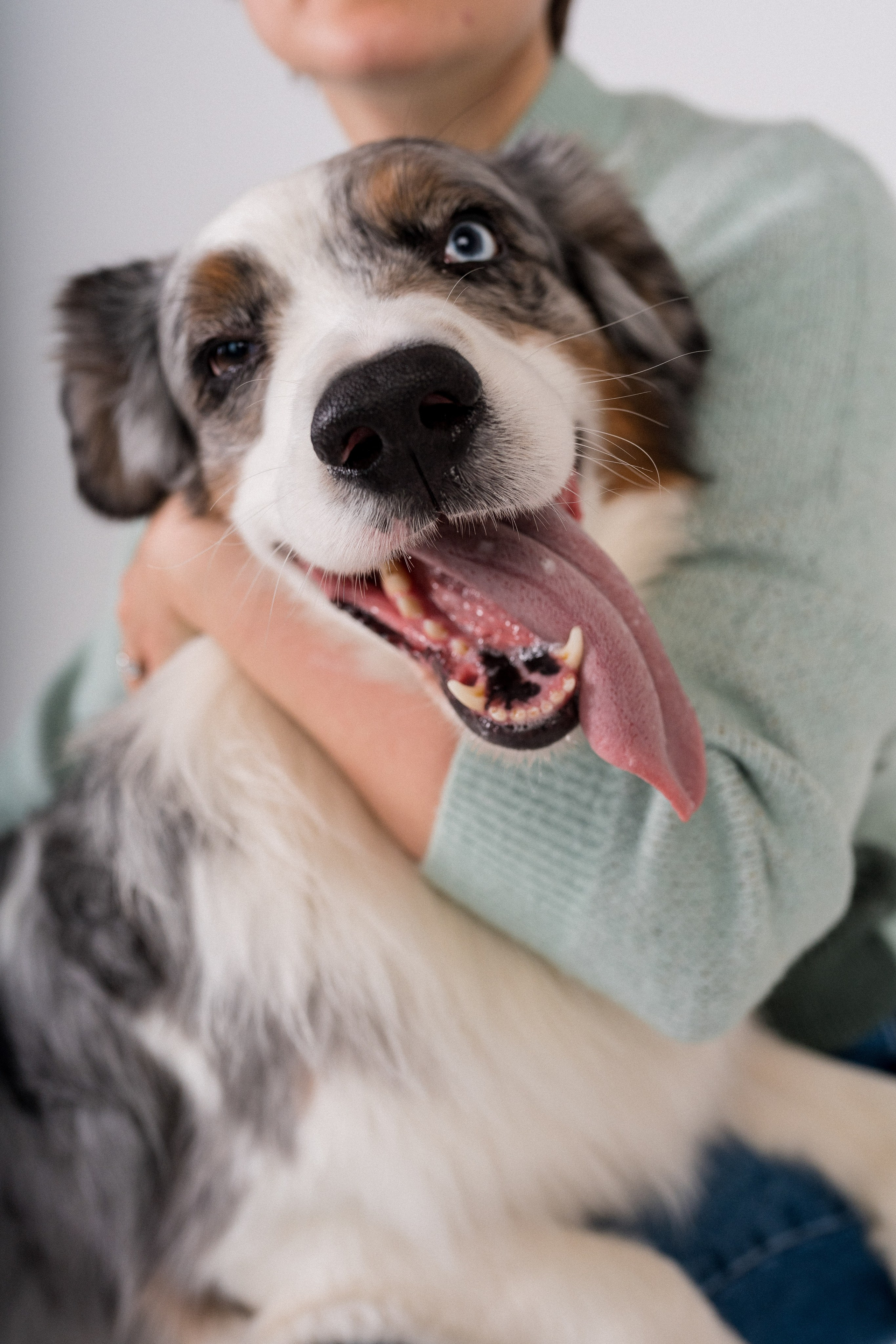 Новогоднее студия. Свадебный фотограф в Москве Анна Полушина