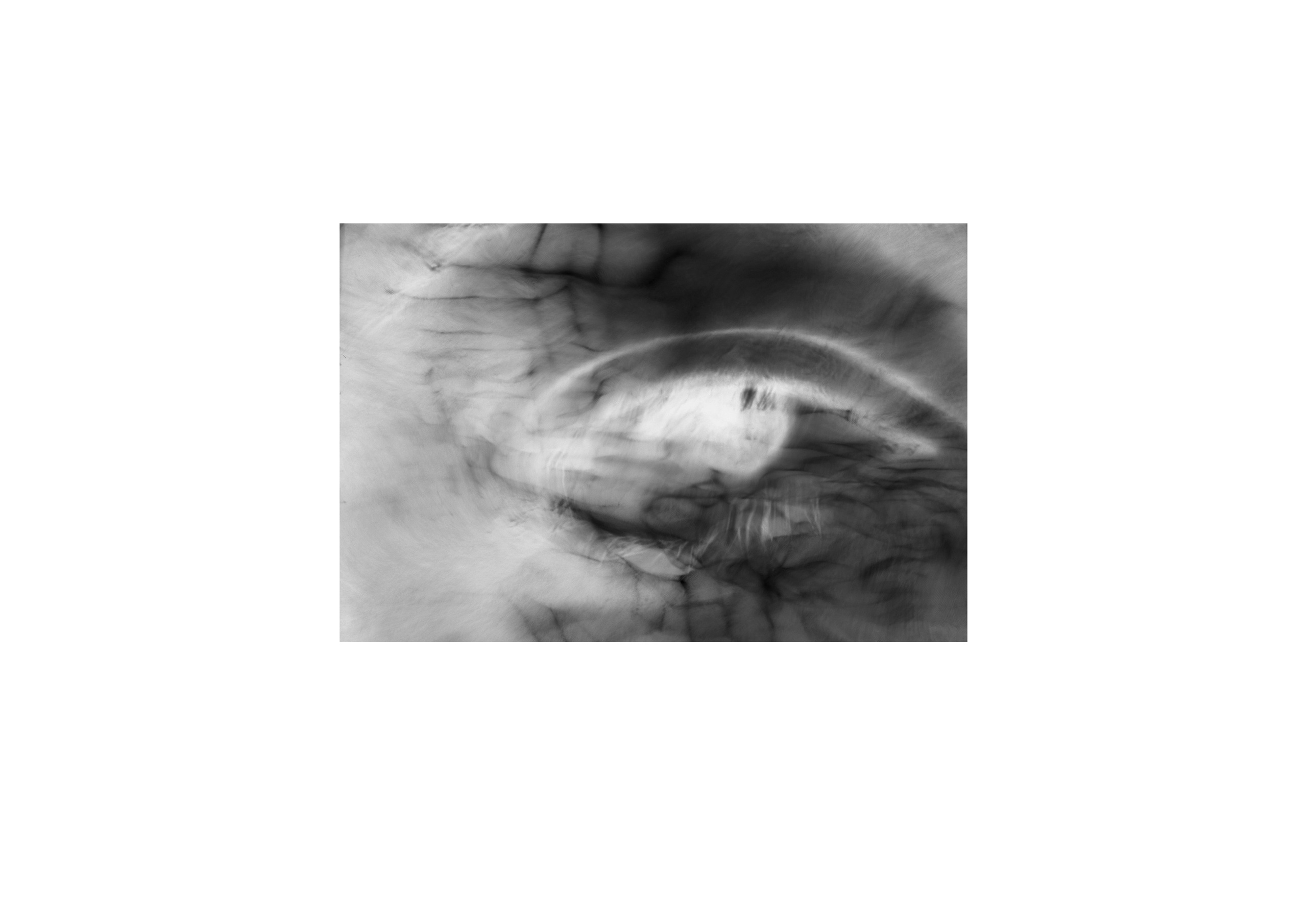 Я приношу к себе лес я себя приношу в лес. Алиса Косарева