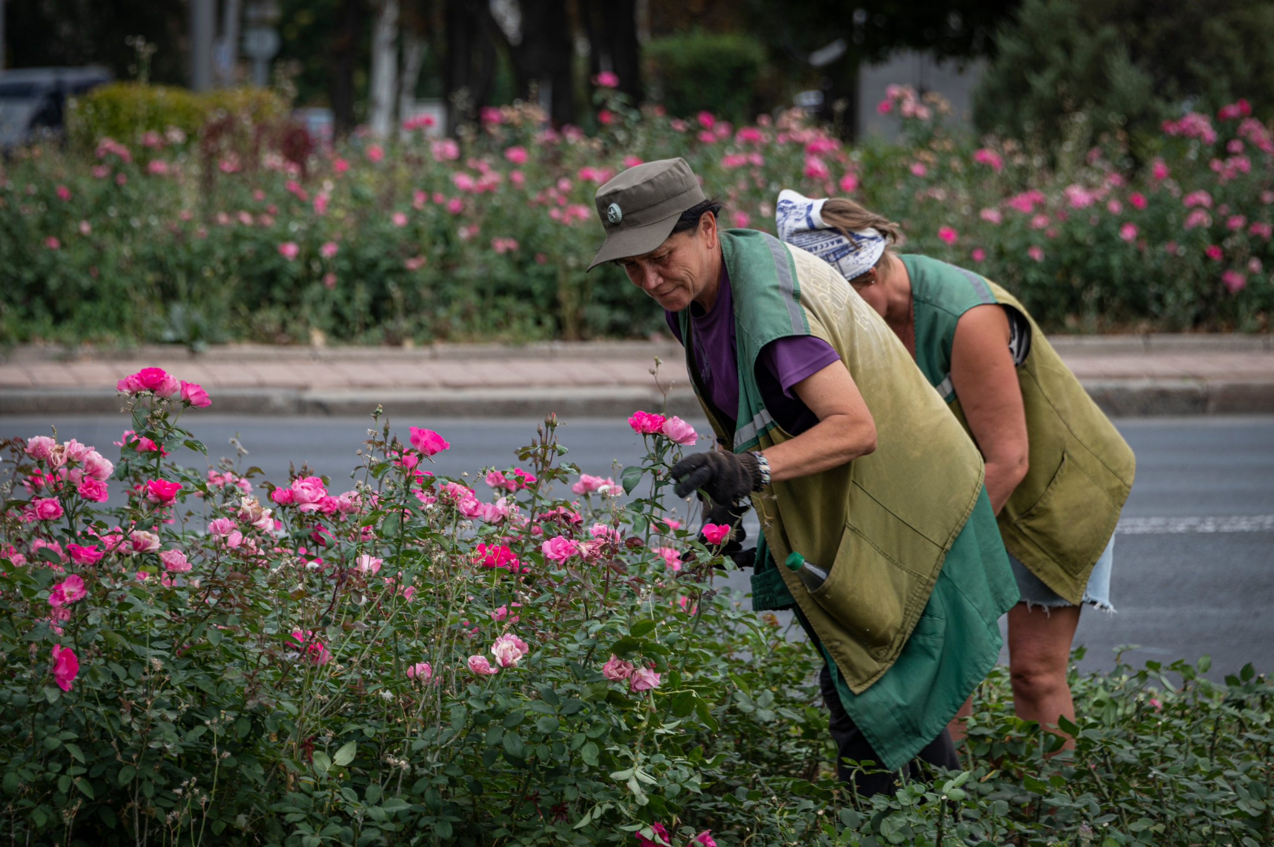 Фото для презентации фотопроекта «Территории». Фотопроект «Территории»