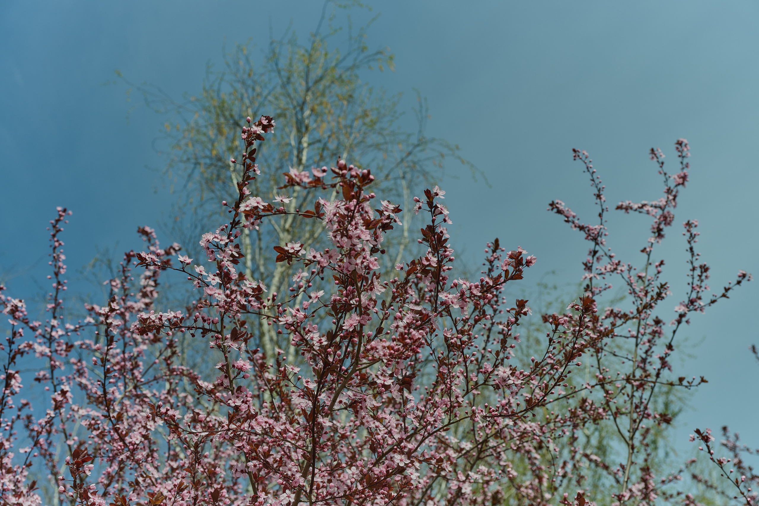 Мелитополь. Фотопроект «Территории»