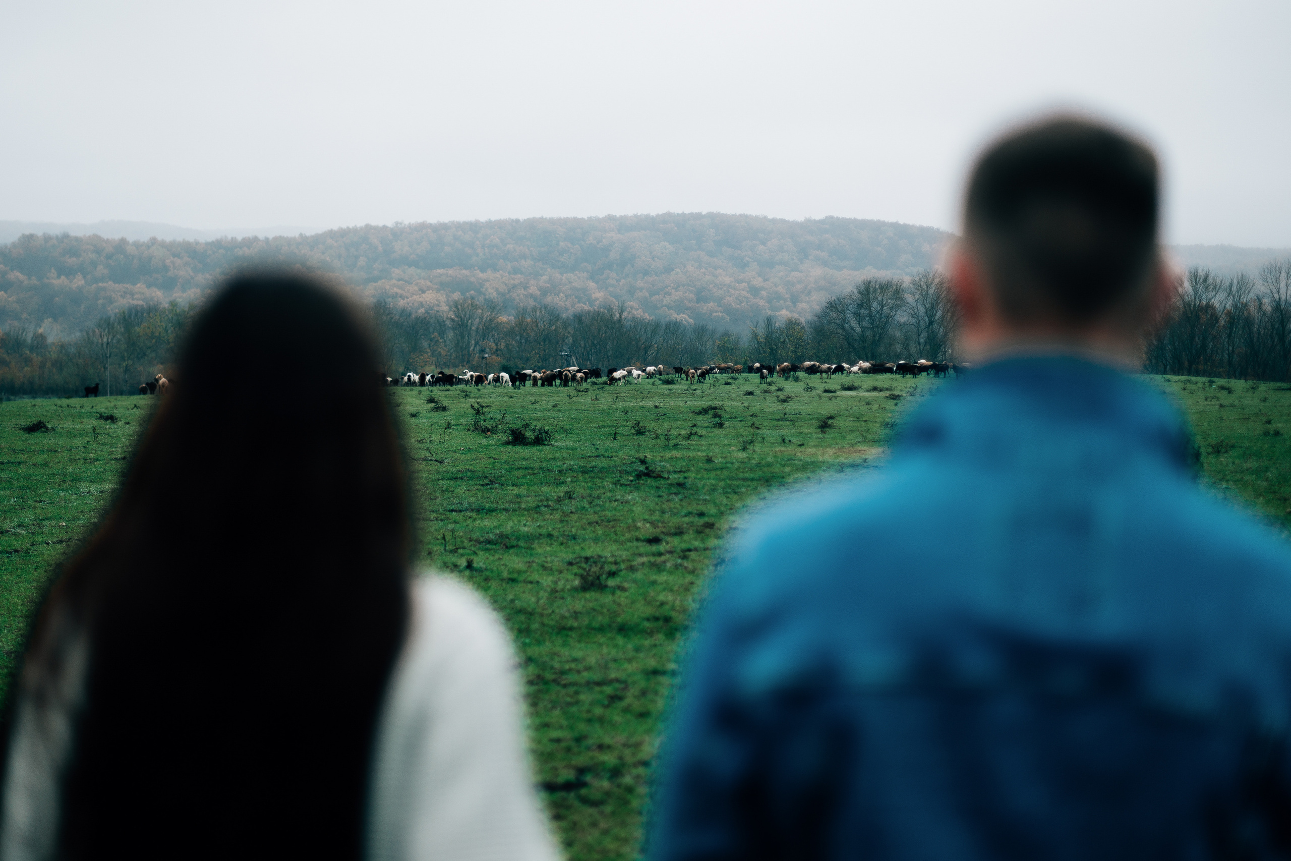 Александр и Елена. Свадебный фотограф в Краснодаре